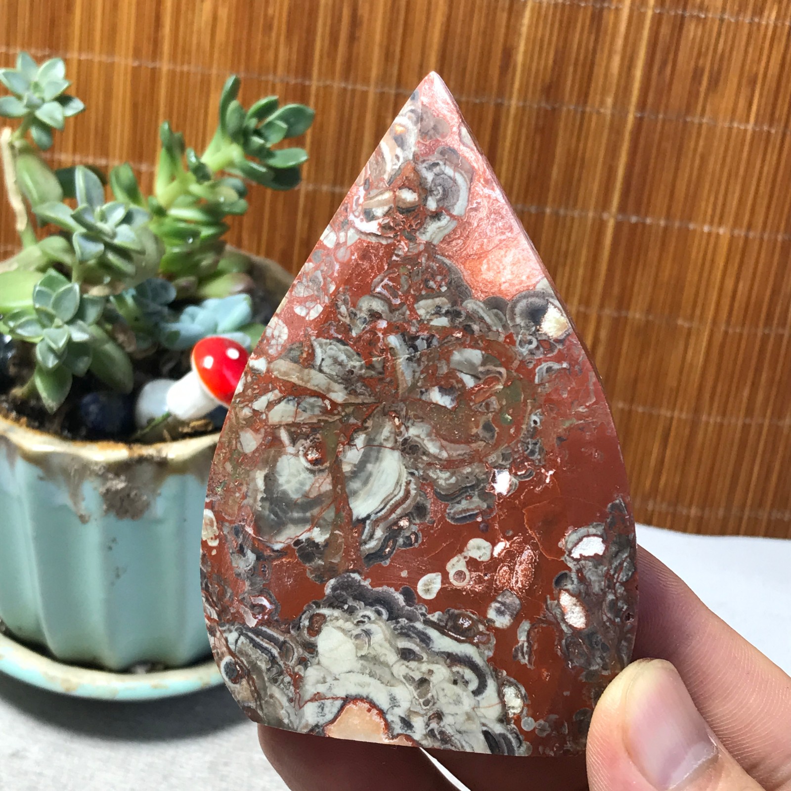 Natural money Mexico agate hand carve leaf Crystal Specimen free standing A6496