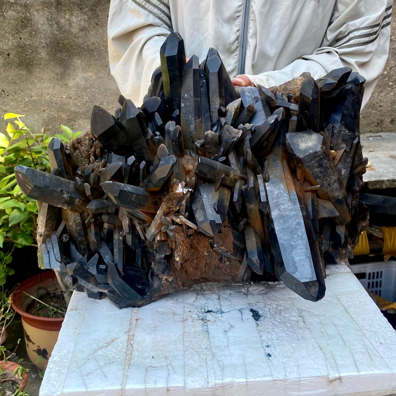 57LB Tea black Crystal quartz Cluster Mineral Specimen Healing reiki