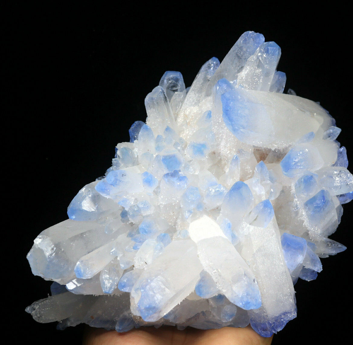 5.43 lb Rare Beatiful Blue Tibetan Ghost phantom Quartz Crystal Cluster Specimen