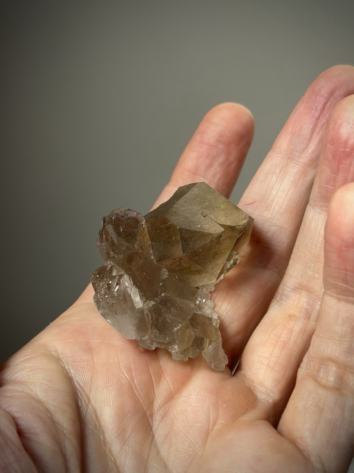 Rutilated Quartz Crystal Gold Rutile Inclusion Quartz Druzy Quartz Brazil