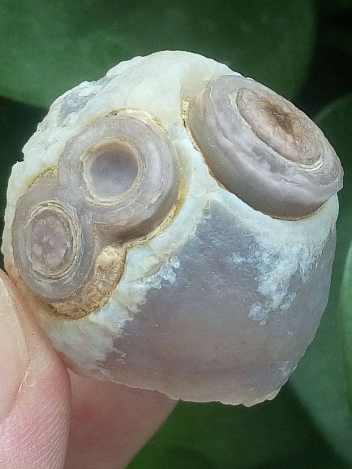 32mm Natural Gobi agate eye agate collection Landscape stone