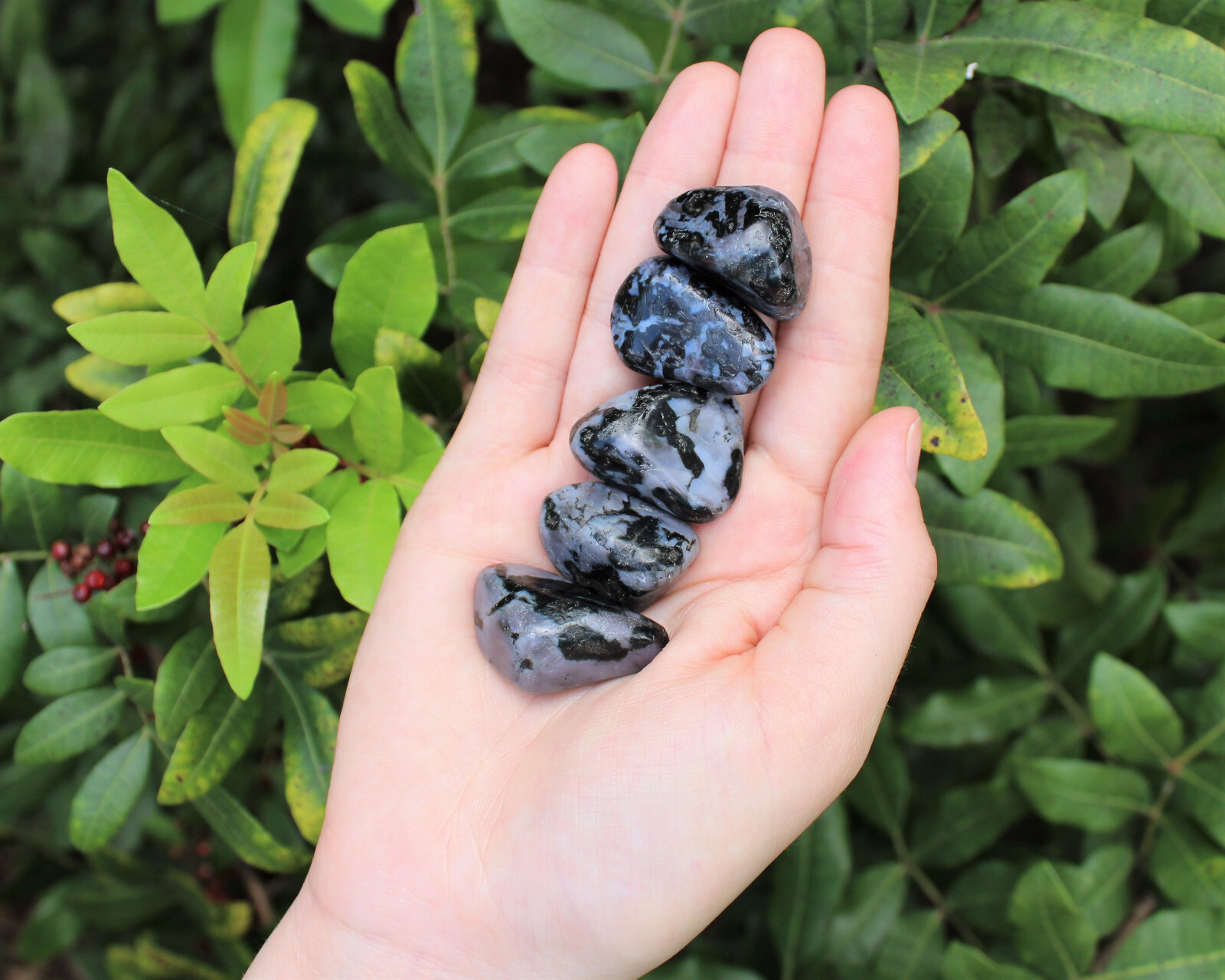 Indigo Gabbro Tumbled Stones – Choose How Many (Mystic Merlinite Crystals)