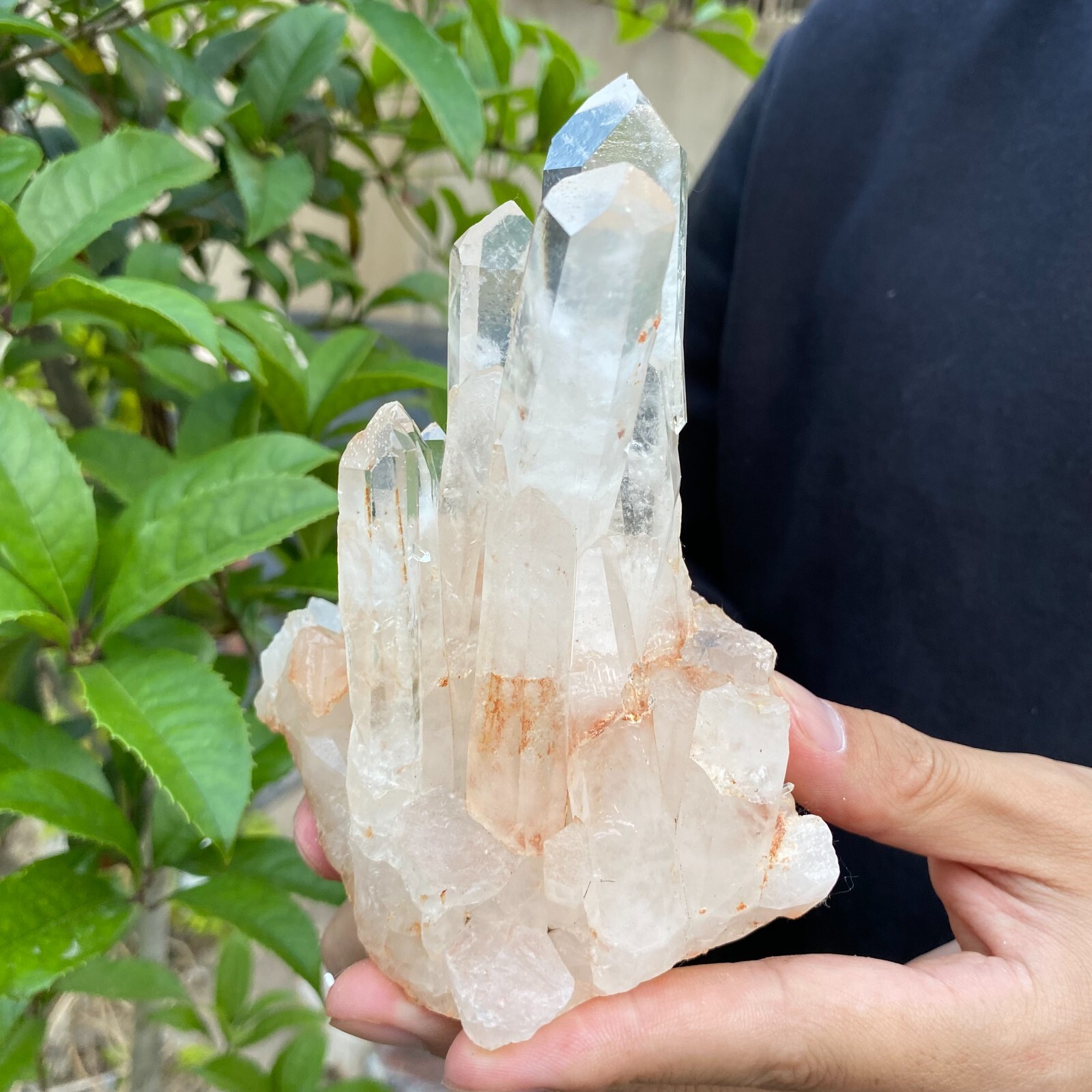 1.2lb Natural Clear White quart Crystal Cluster Raw Healing Specimen