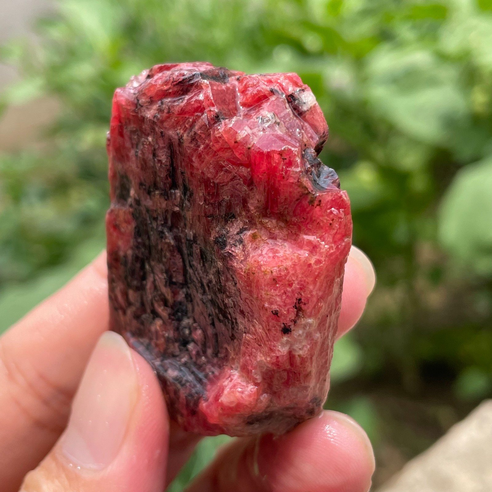 74g Small Raw Ore Red Black Rhodonite Quartz Gemstone Mineral Specimen