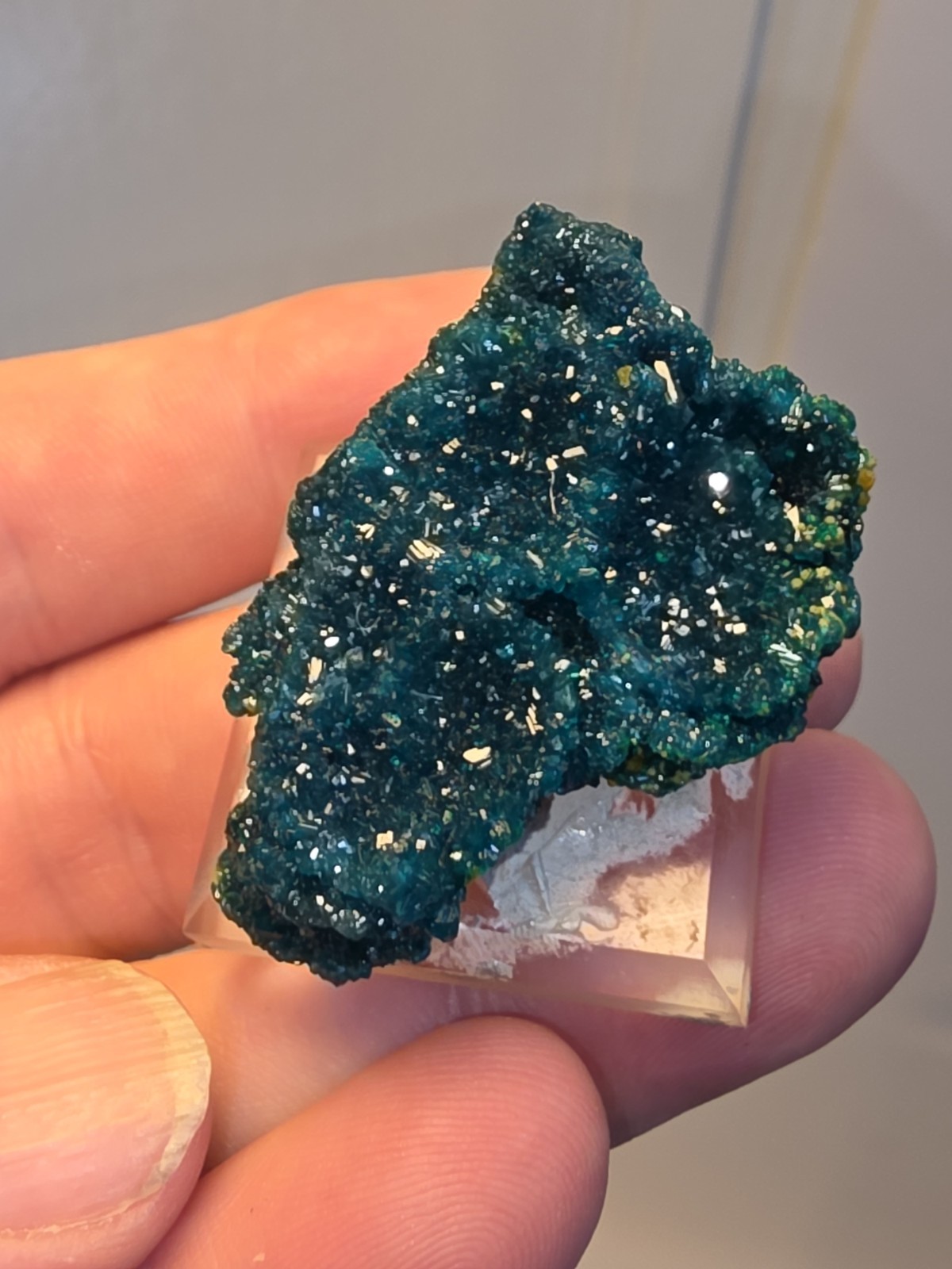 DIOPTASE w/ Wulfinite Crystal Mineral Specimen Cluster Green CONGO AFRICA 4.5 cm