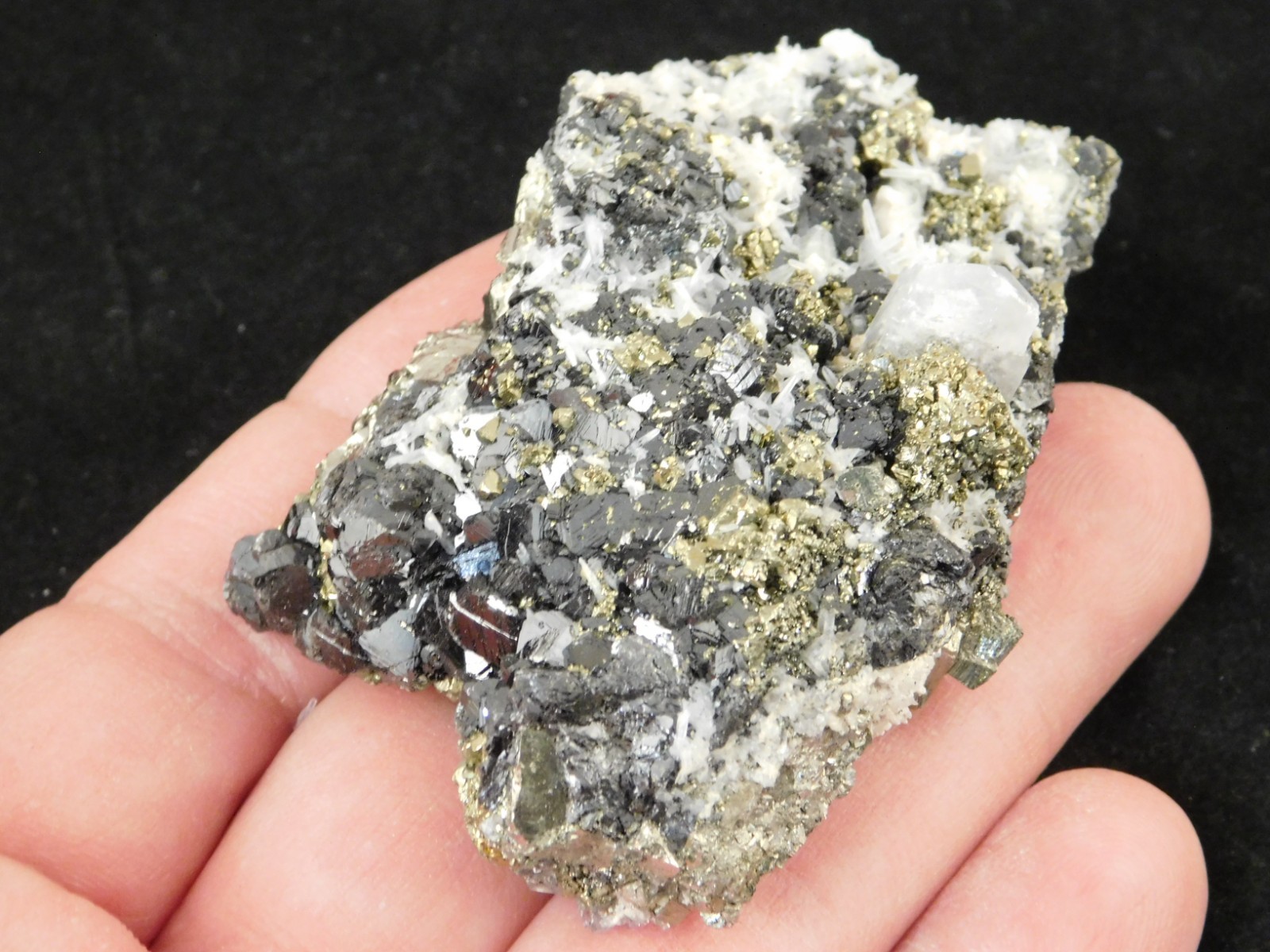 Sphalerite Crystal Cluster with Chalcopyrite Calcite and Pyrite 116gr