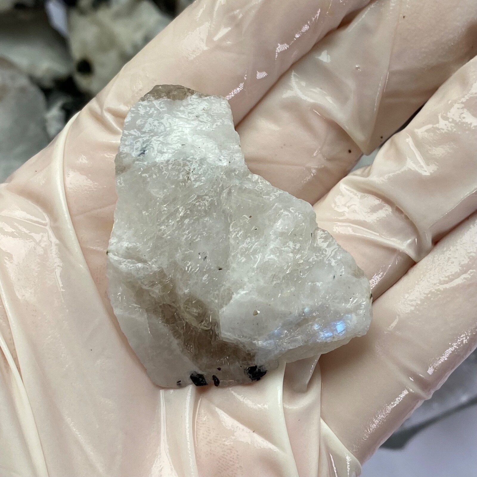 Blue White Moonstone in Quartz Black Mica Raw Natural Rough Crystal Random Pull