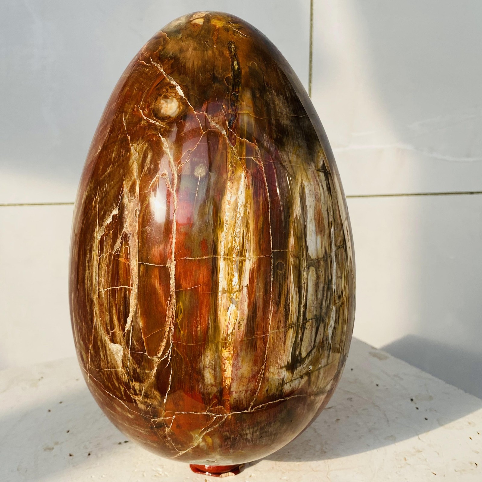 Natural Petrified Wood Egg Quartz Crystal Fossil Mineral 6340g