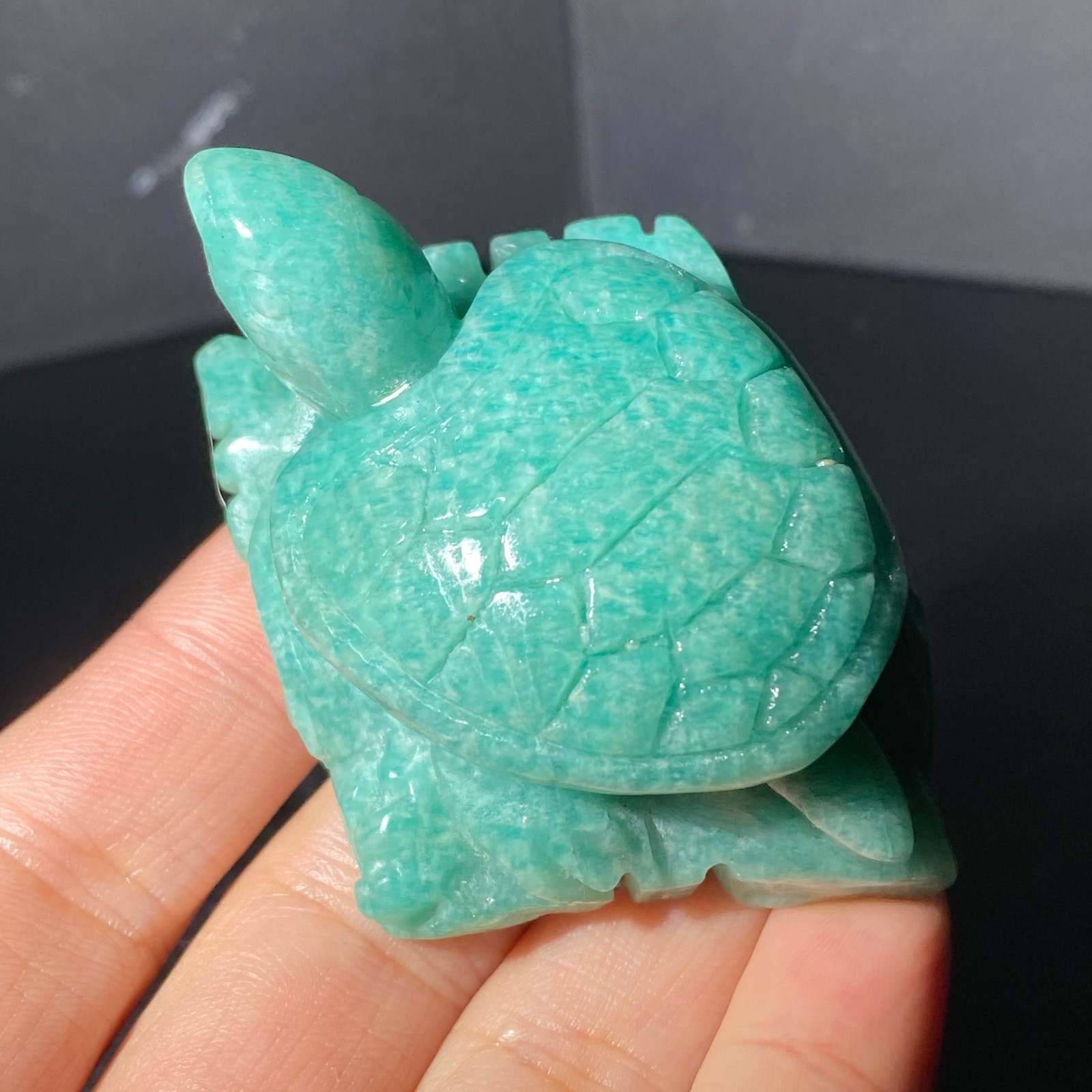 108G Natural Tianhe stone Turtle Quartz Tortoise Carved Crystal Skull Healing