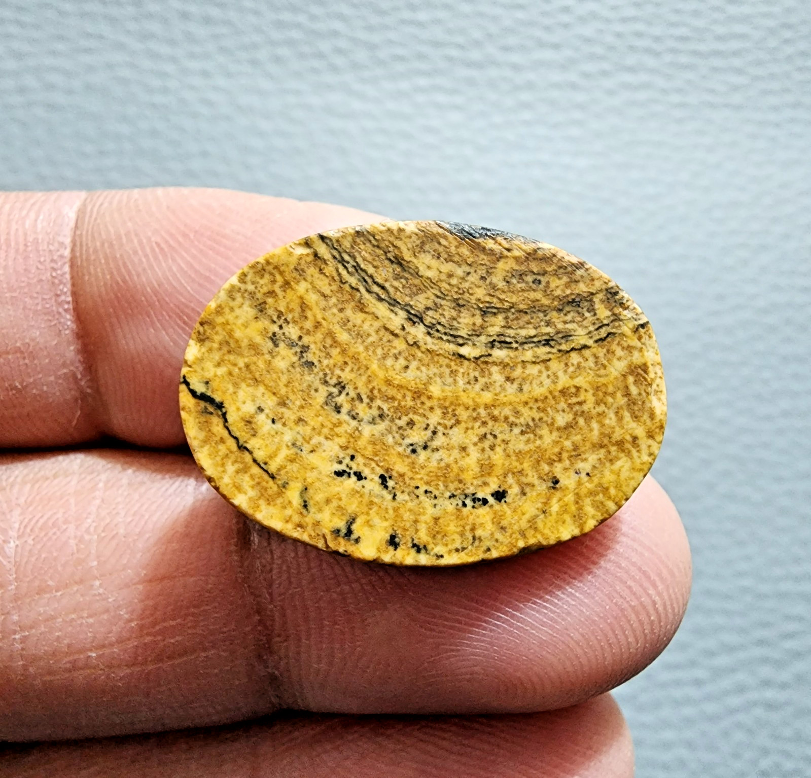 Picture Jasper 20.9ct Oval Cabochon – Unique Natural Gemstone for Jewelry Making