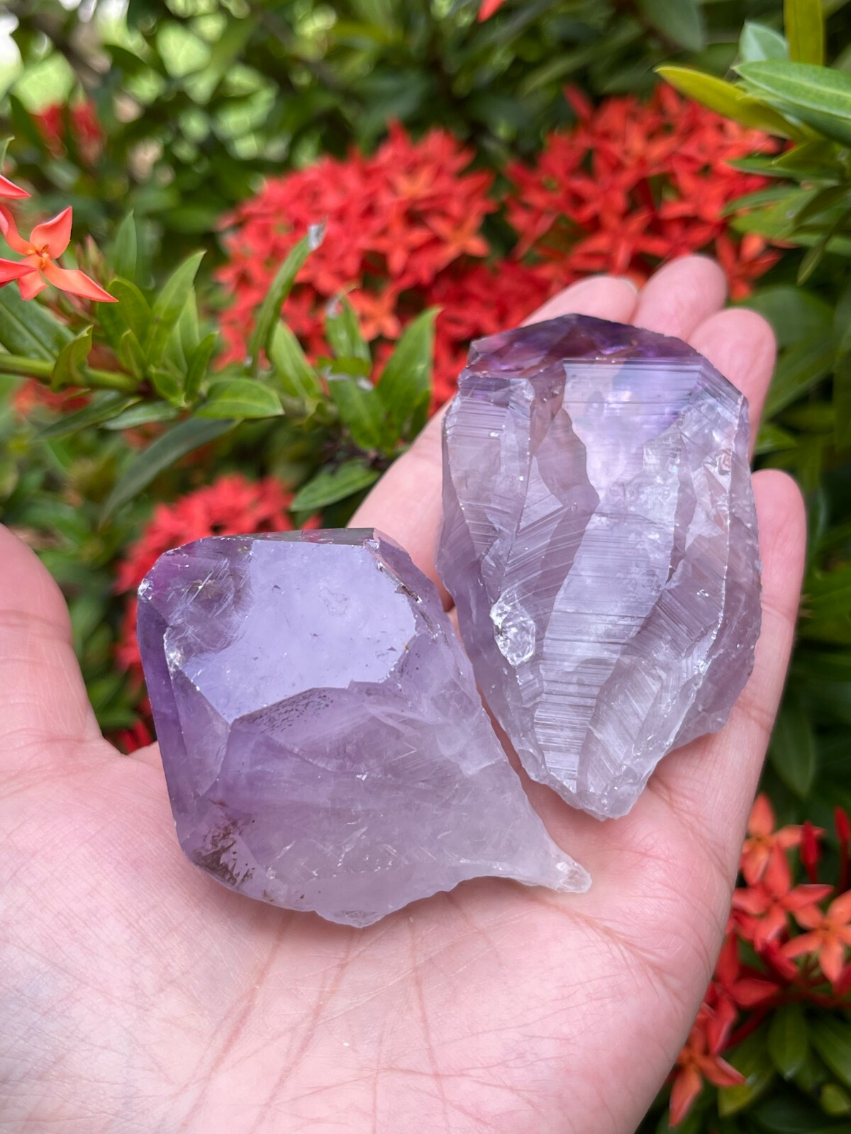 Extra Large Amethyst Rough Points, 2.5 – 3.25″ Raw Amethyst Points, Bulk Lot