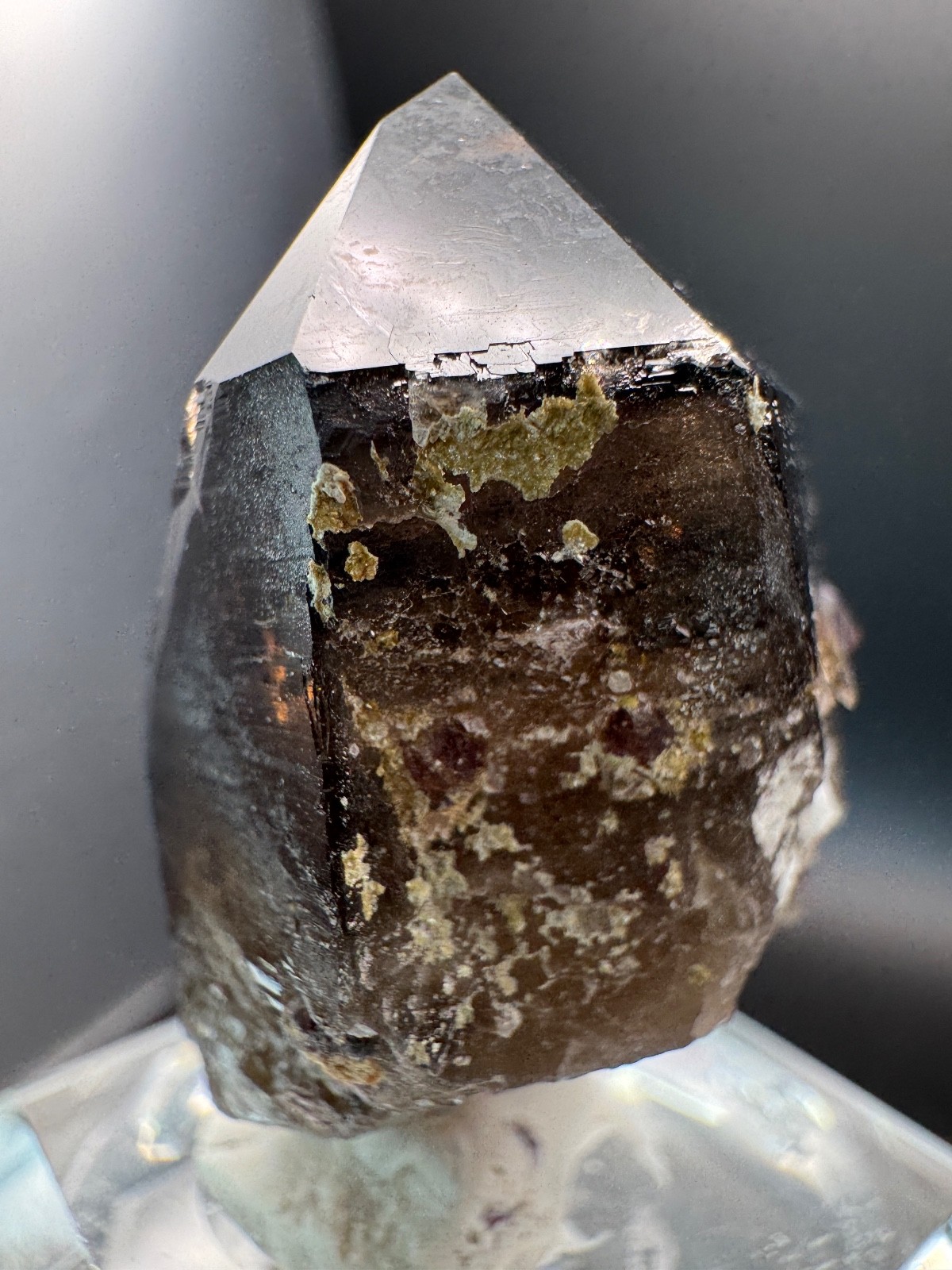 6178 Smoky Quartz Point with Red Garnets and Garnet Inclusions 34g Fu Jian