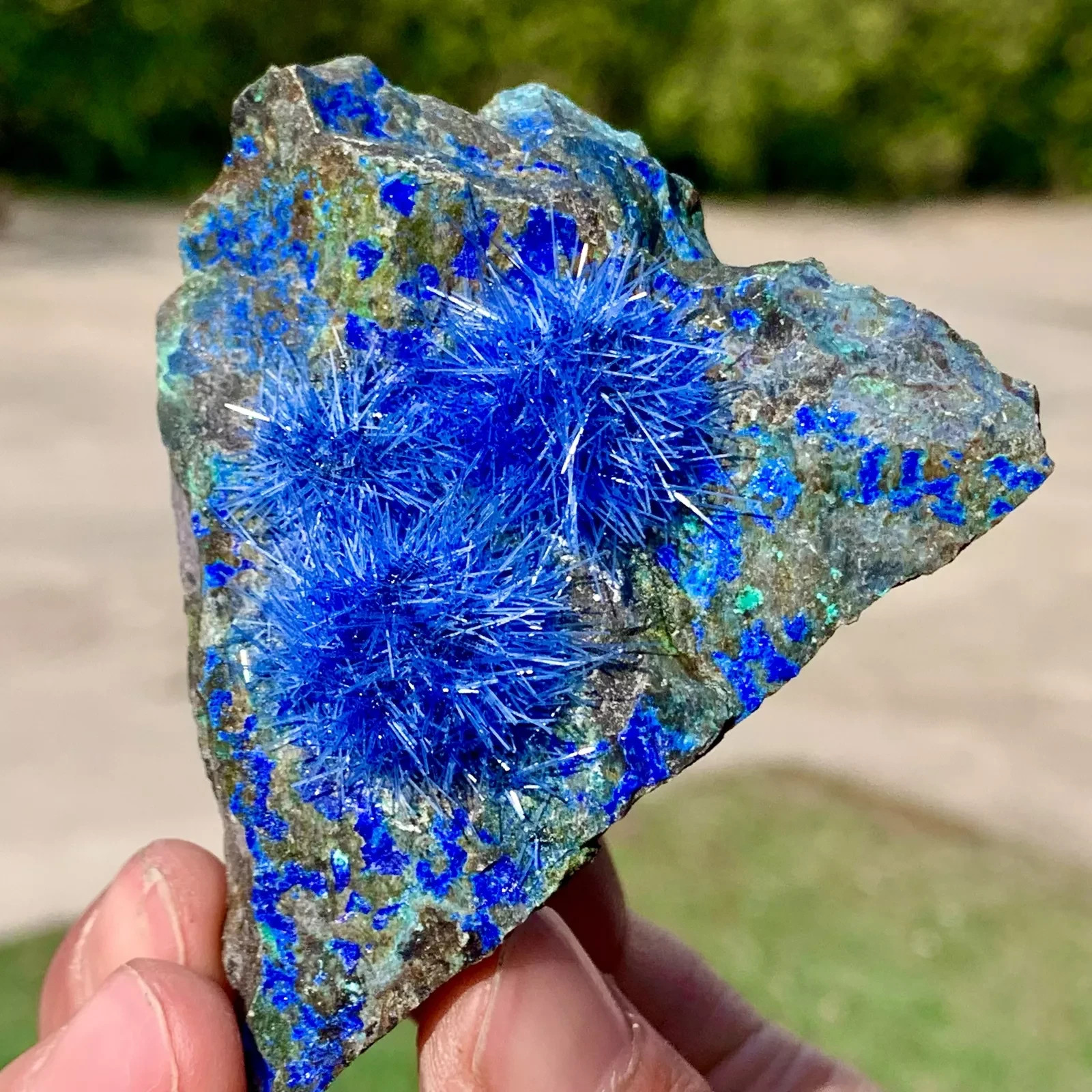 Natural Raw Dandelion Zeolite Cluster Titanium Geode Quartz Crystal SpecimenGift
