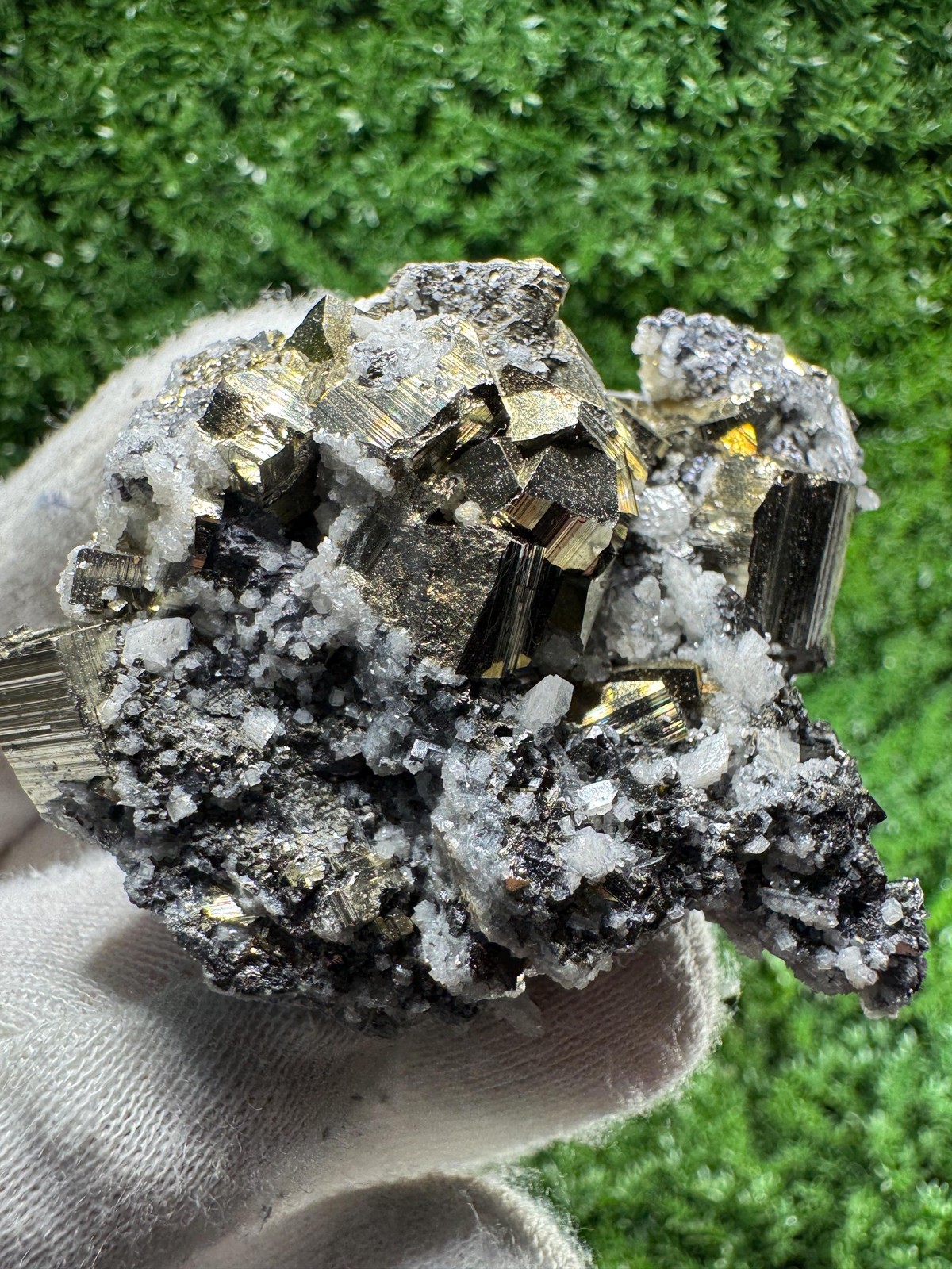 Shiny CLUSTER of GALENA and PYRITE directly from / N194
