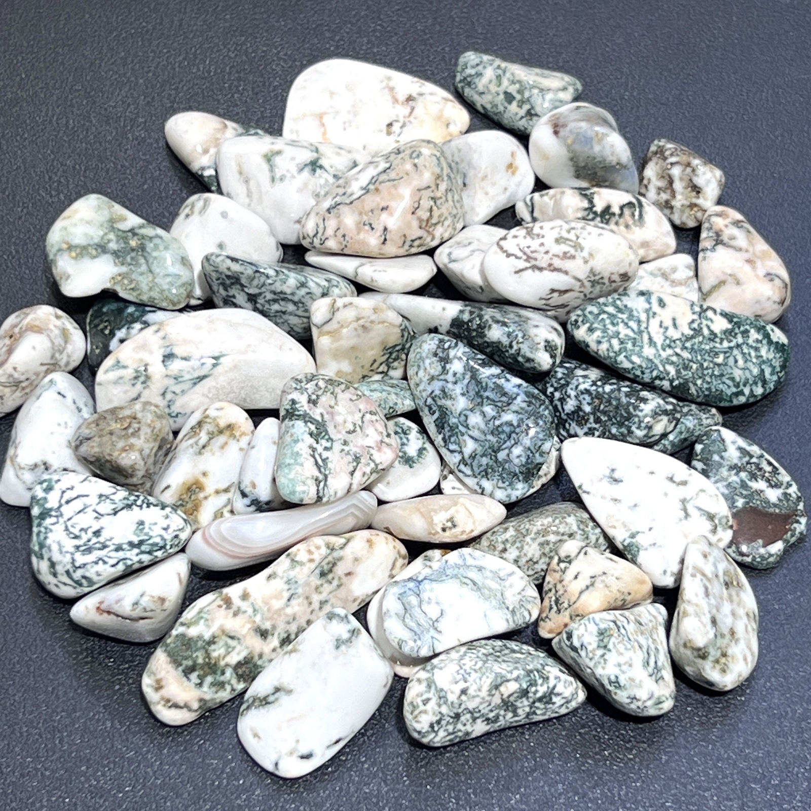 Tree Agate Tumbled Stones (By The Piece Or Pound) Bulk Wholesale Polished Supply