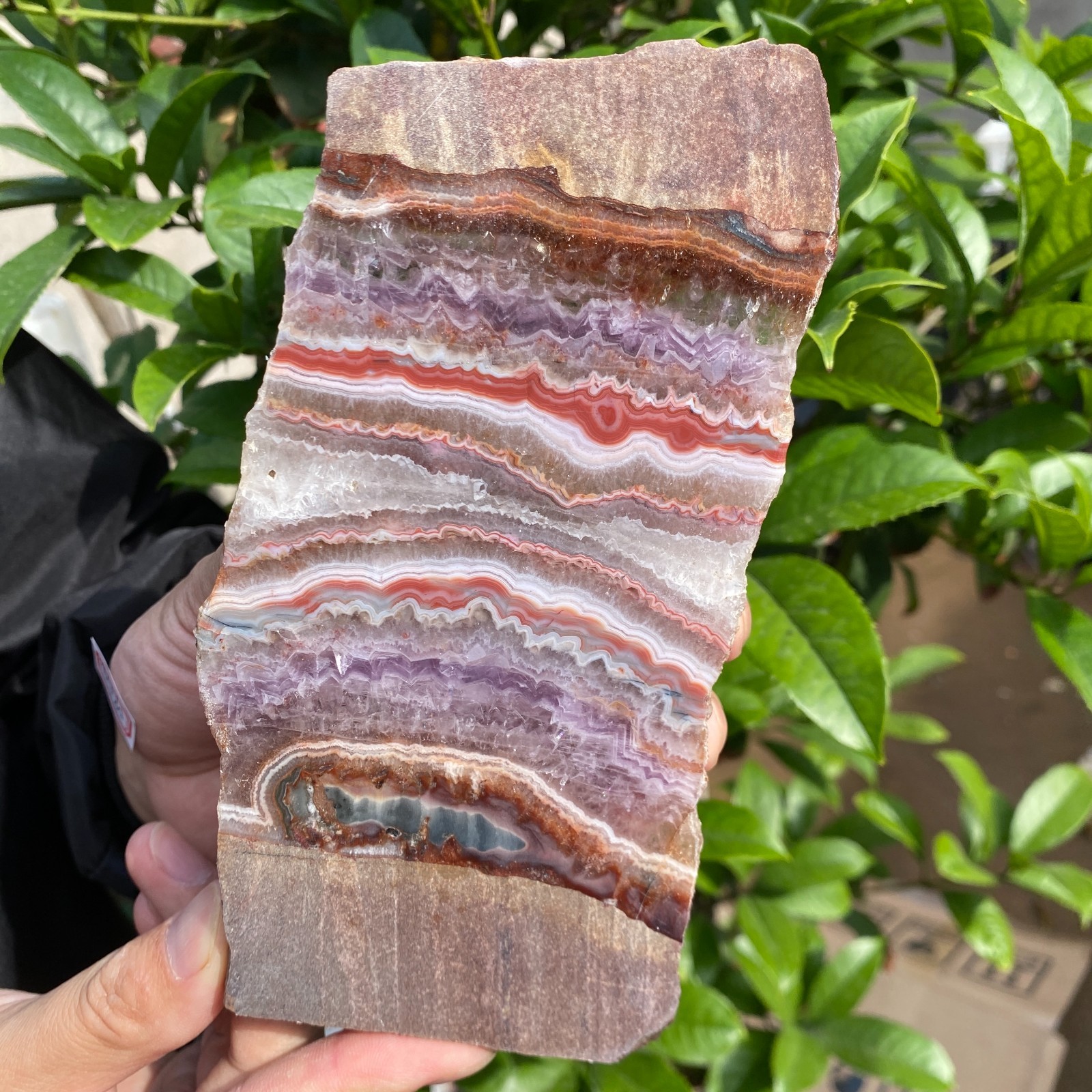 290g Natural Rare Amethyst Lace Agate Slab Quartz Crystal Reiki Healing