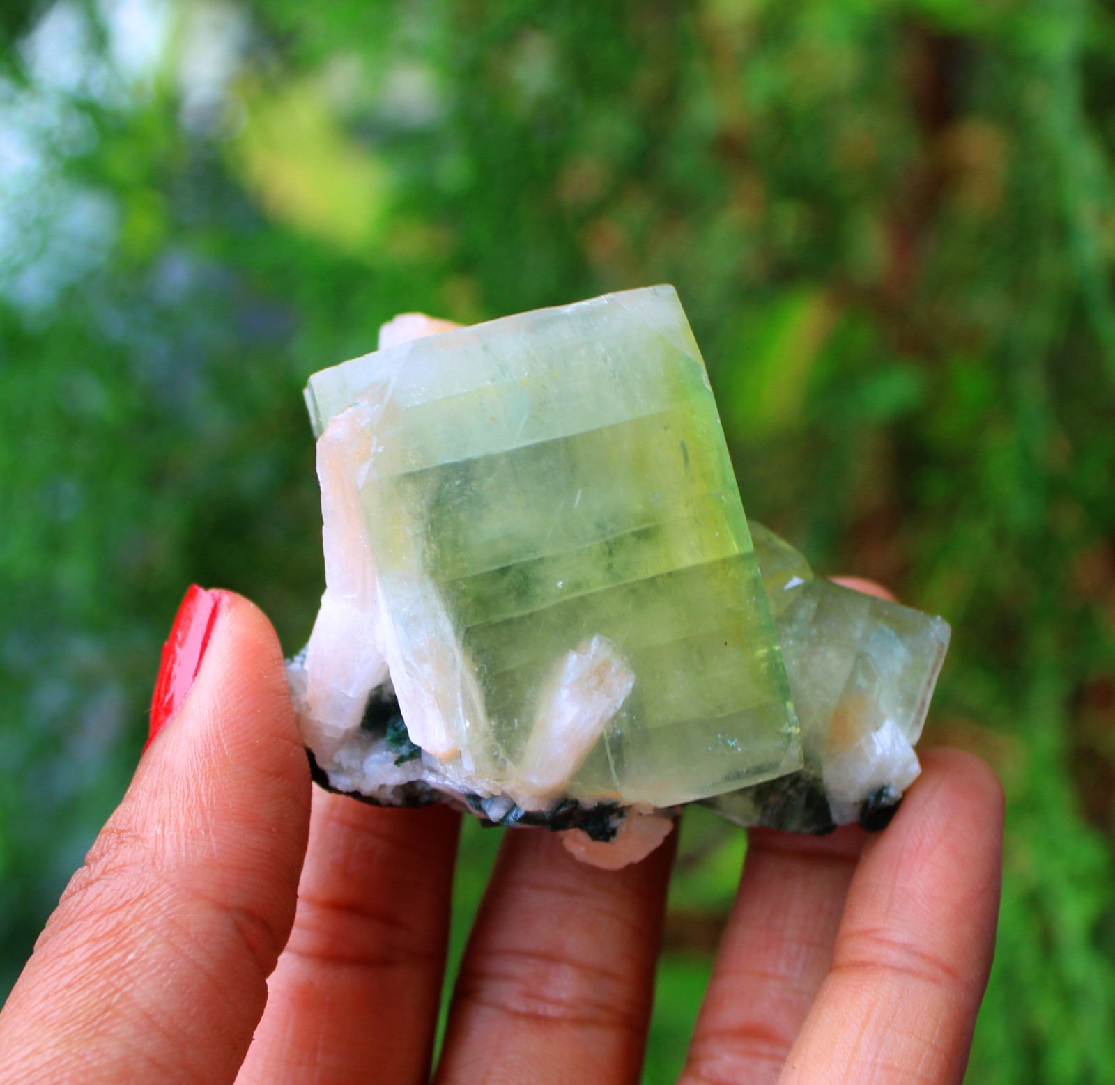 GREEN APOPHYLLITE CRYSTALS MINERALS SPECIMEN