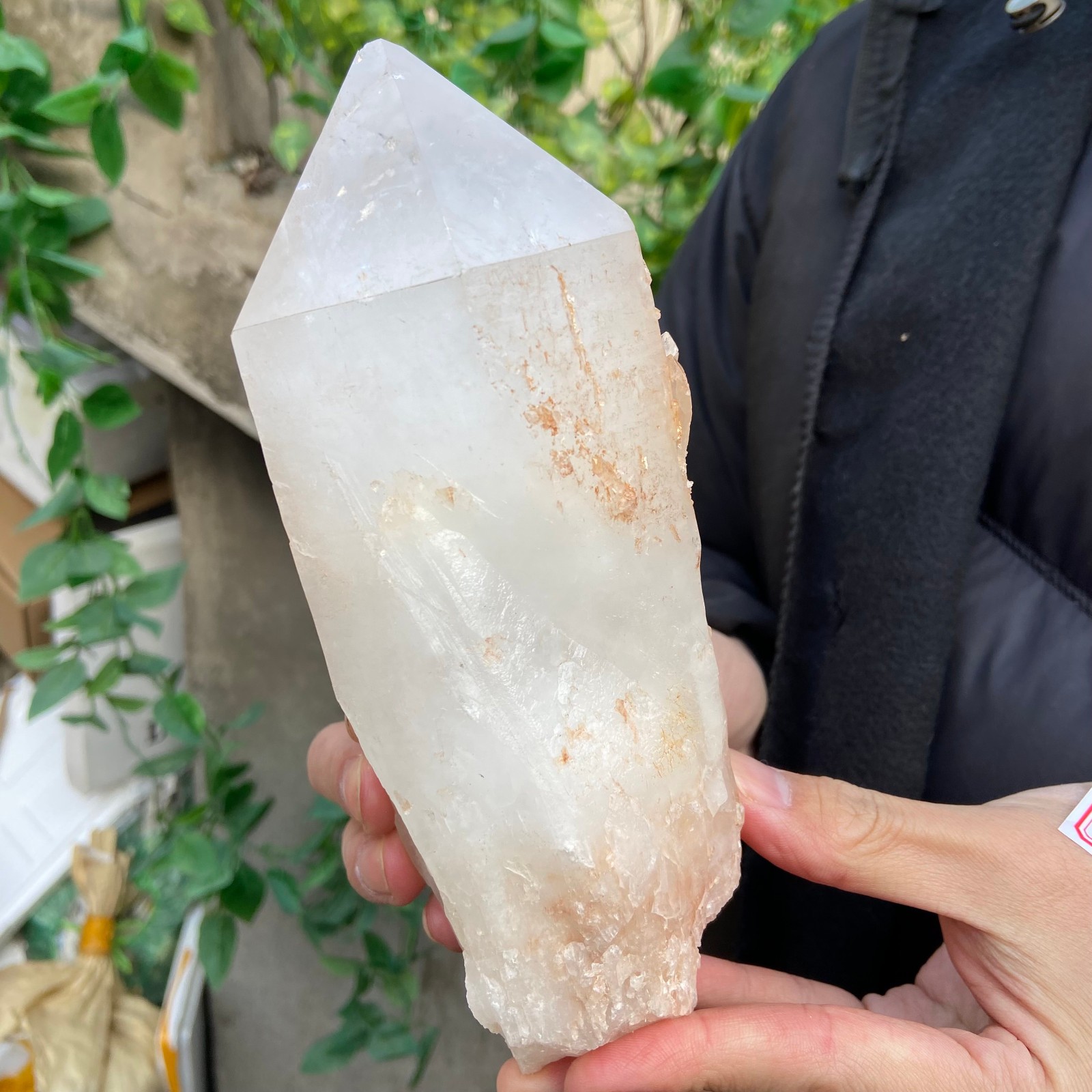 2.9lb Natural clear white crystal quartz point rough mineral specimen