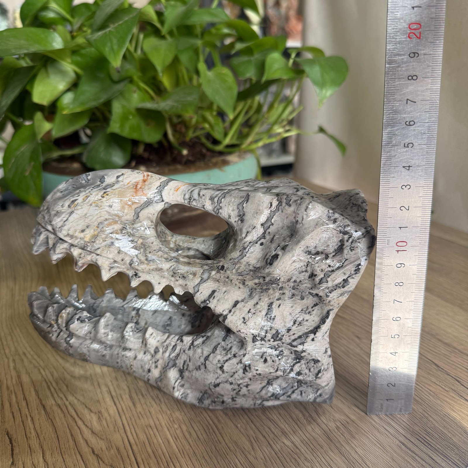 3LB natural Zebra stone Dinosaur skull carved Quartz Crystal reiki Gift