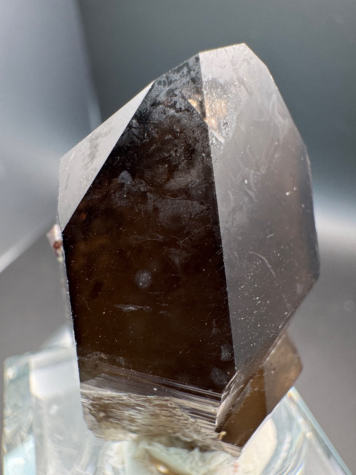 6178 Smoky Quartz Point with Red Garnets and Garnet Inclusions 34g Fu Jian