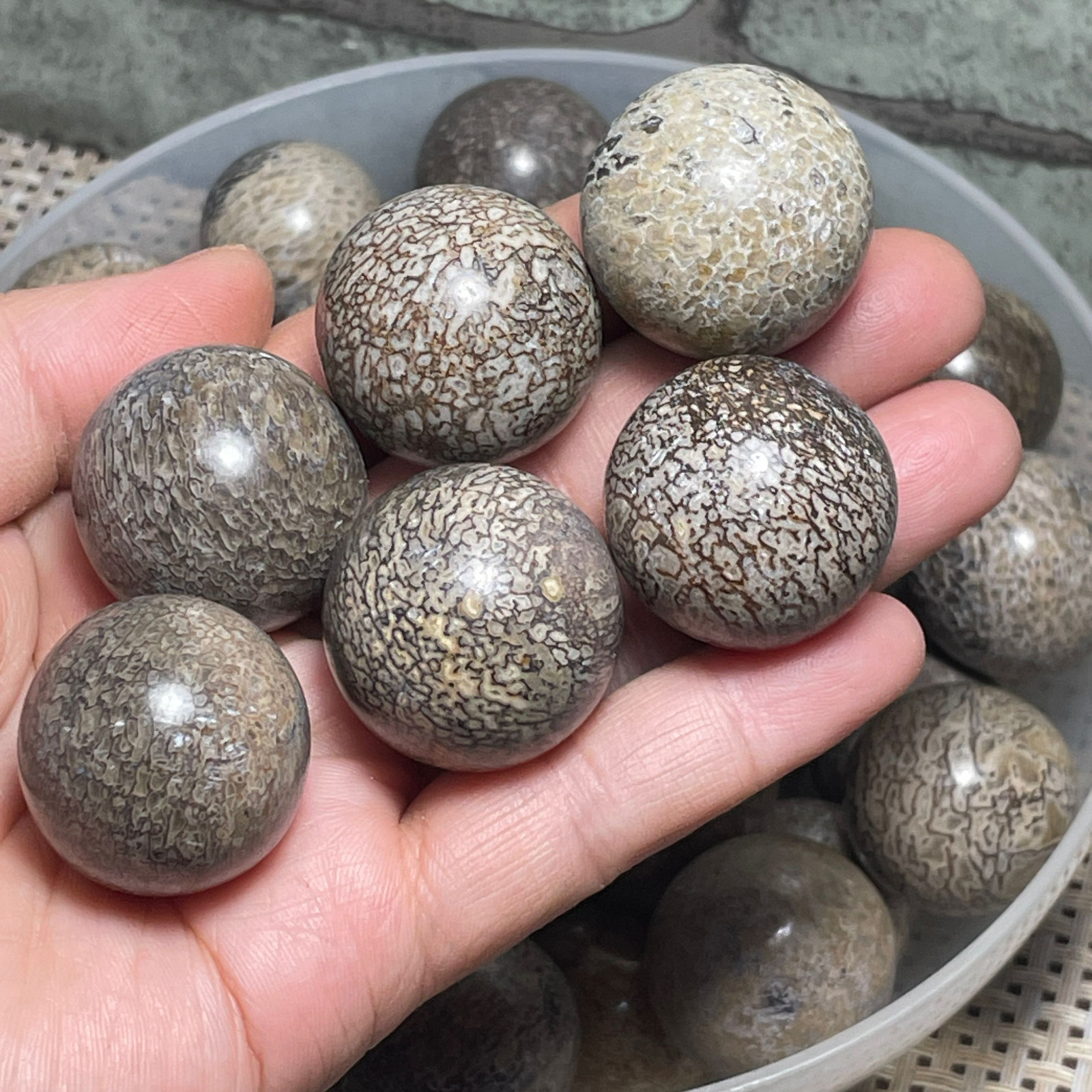 6pc 27-23mm Awesome! Beautiful stone polished Ball Sphere collection Madagascar