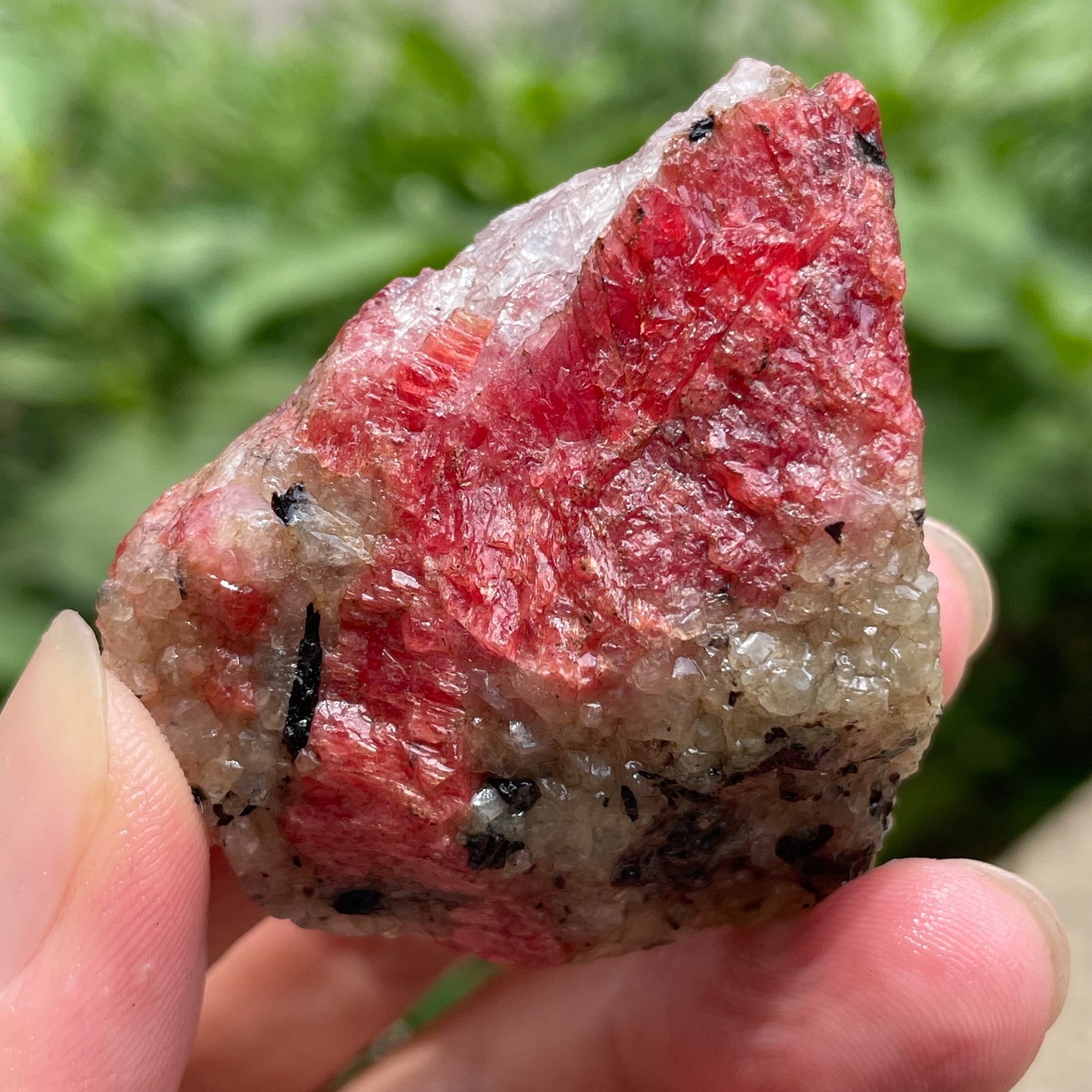 68g Small Raw Ore Red Black Rhodonite Quartz Gemstone Mineral Specimen