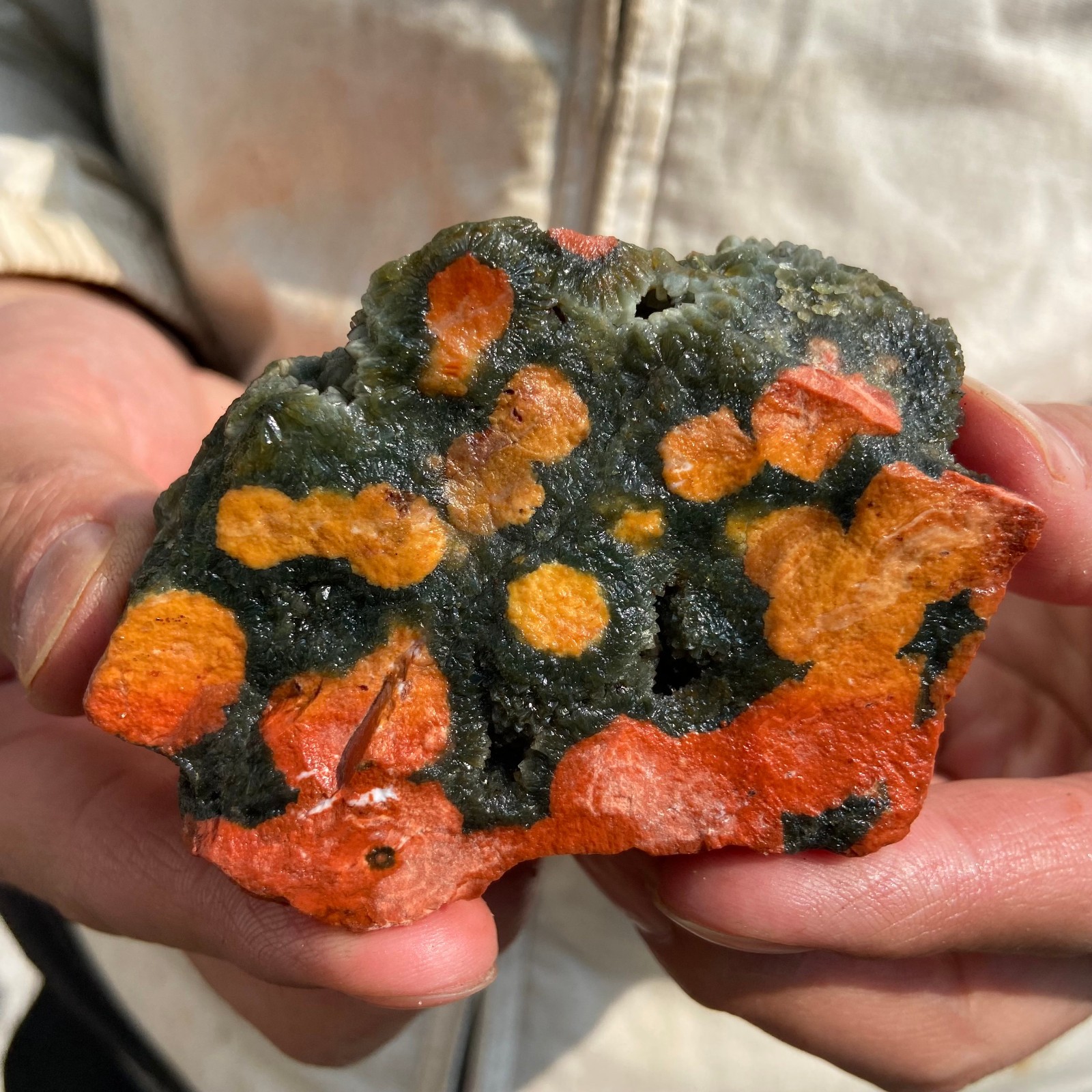 0.4lb Natural colourful ocean jasper raw stone crystal rough mineral specimen