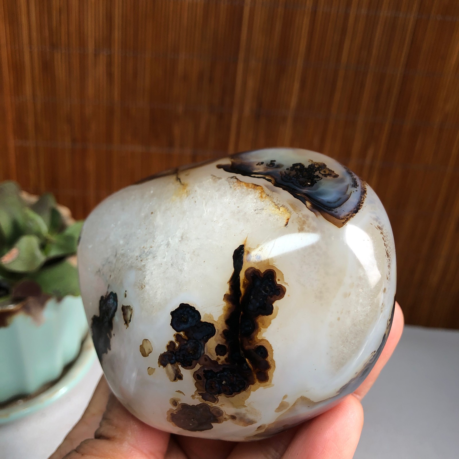 83mm Natural aquatic plants agate pretty Crystal specimens 427g A1482