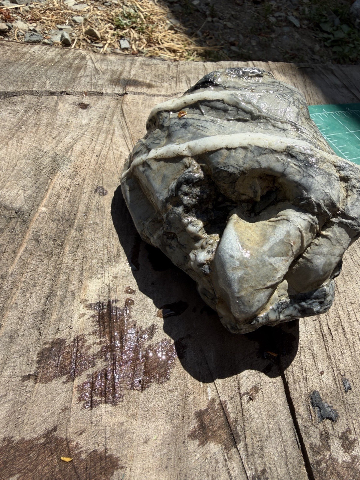 Unique Quartz Veined River Stone Natural Abstract Sculpture Display Specimen