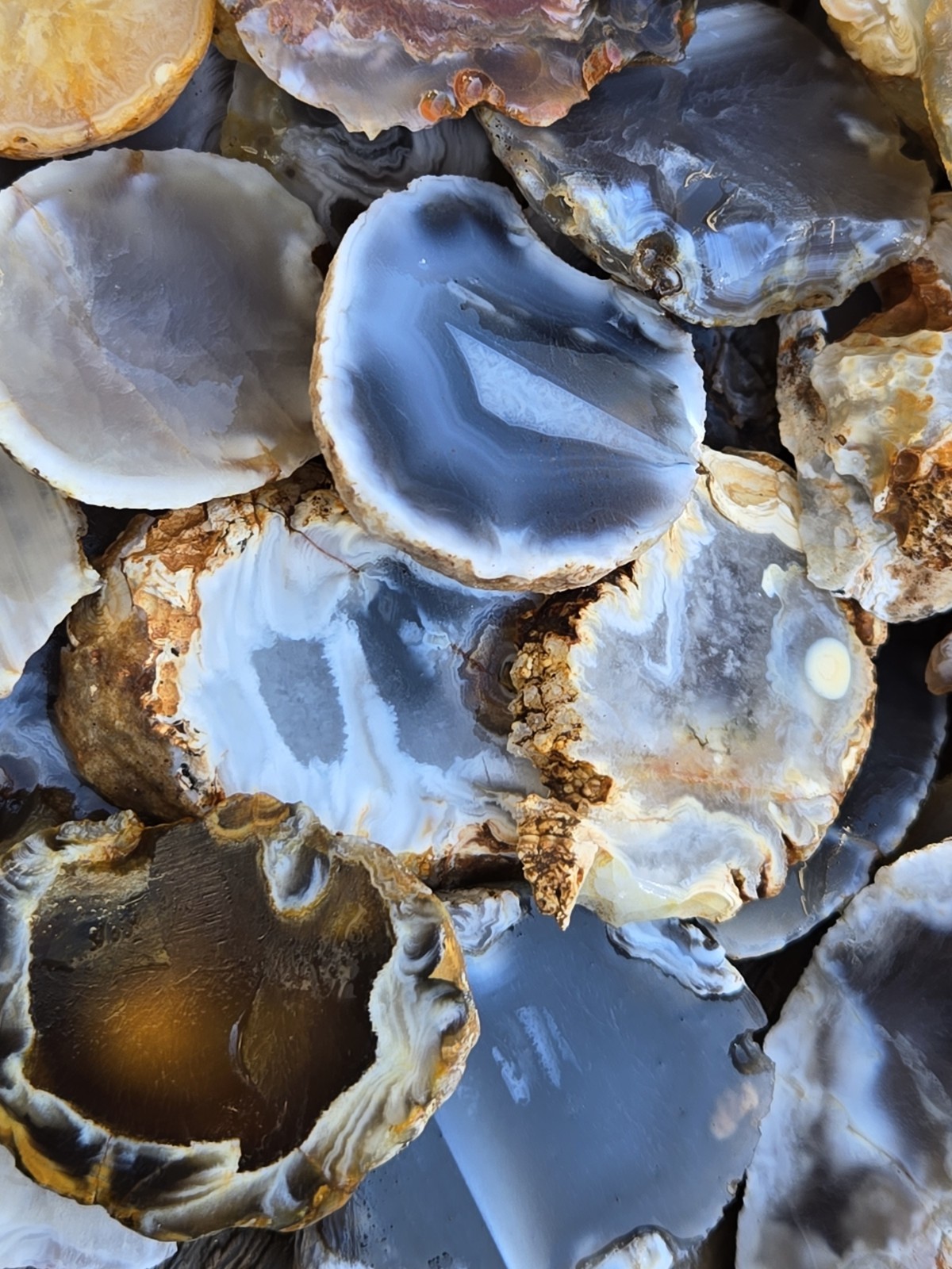 Oco Agate Geode Cut Halves and Slices – 1 Pound Lb – Solid Agate Tumbling Rough