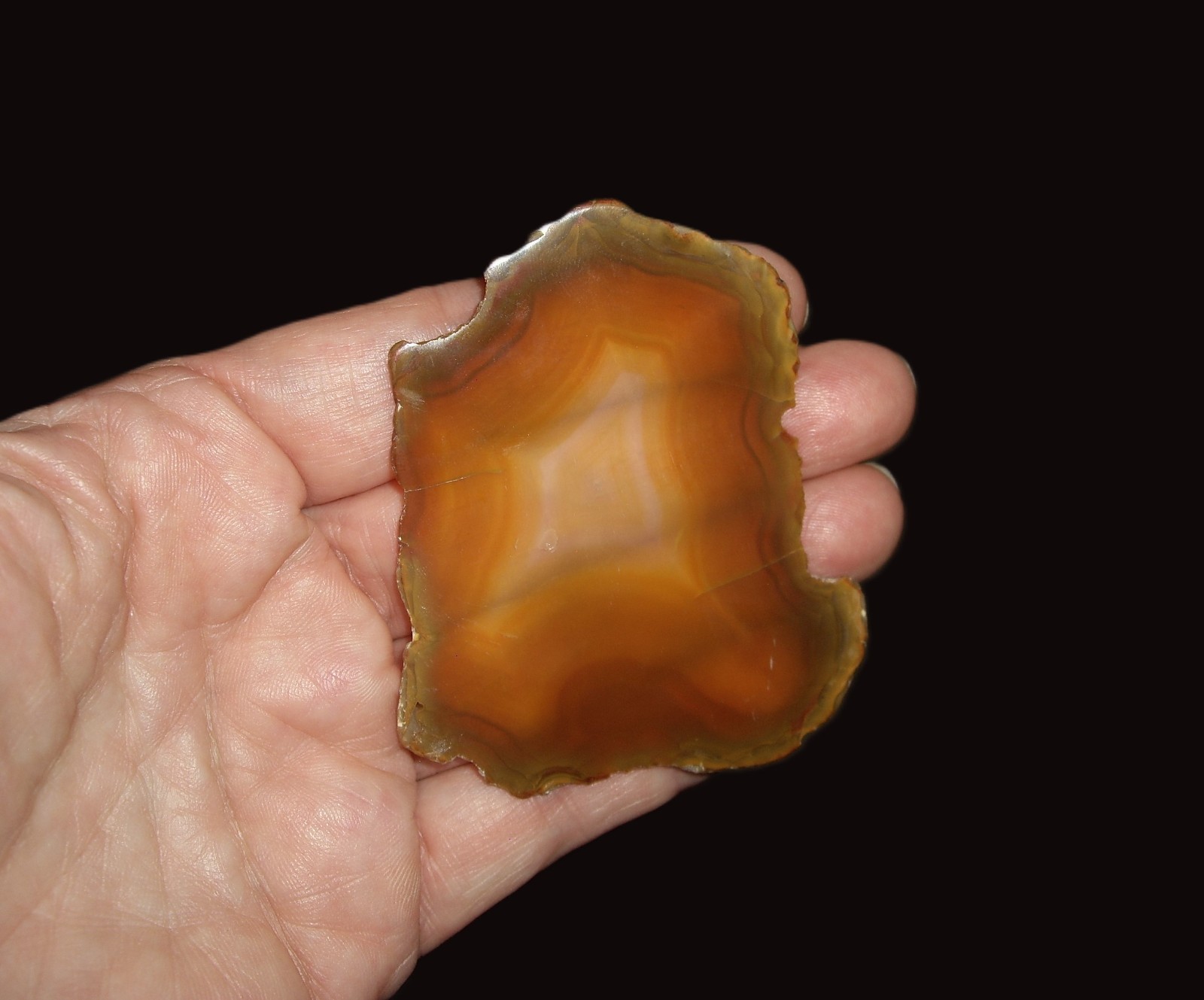 Rare Polished “Iris Agate” Slice with Backlight Color Bands from Indonesia 13.3g