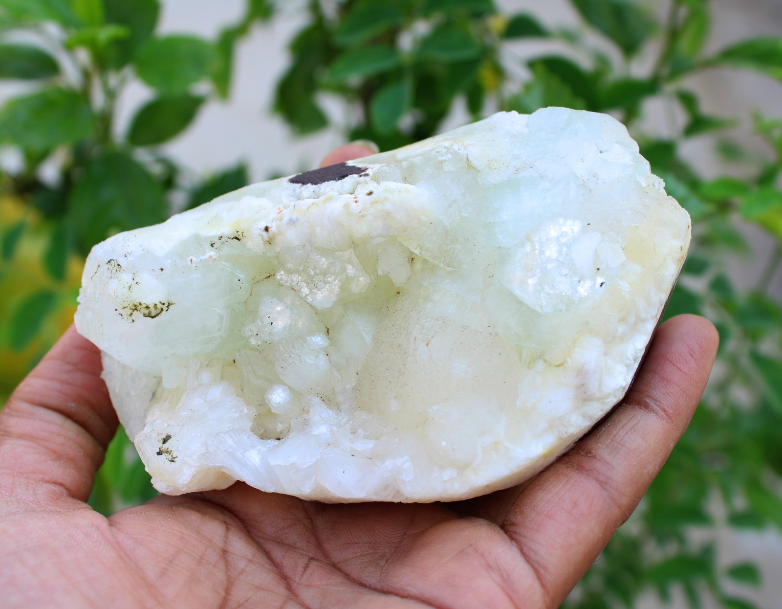 green apophyllite crystals on matrix minerals specimen #A43