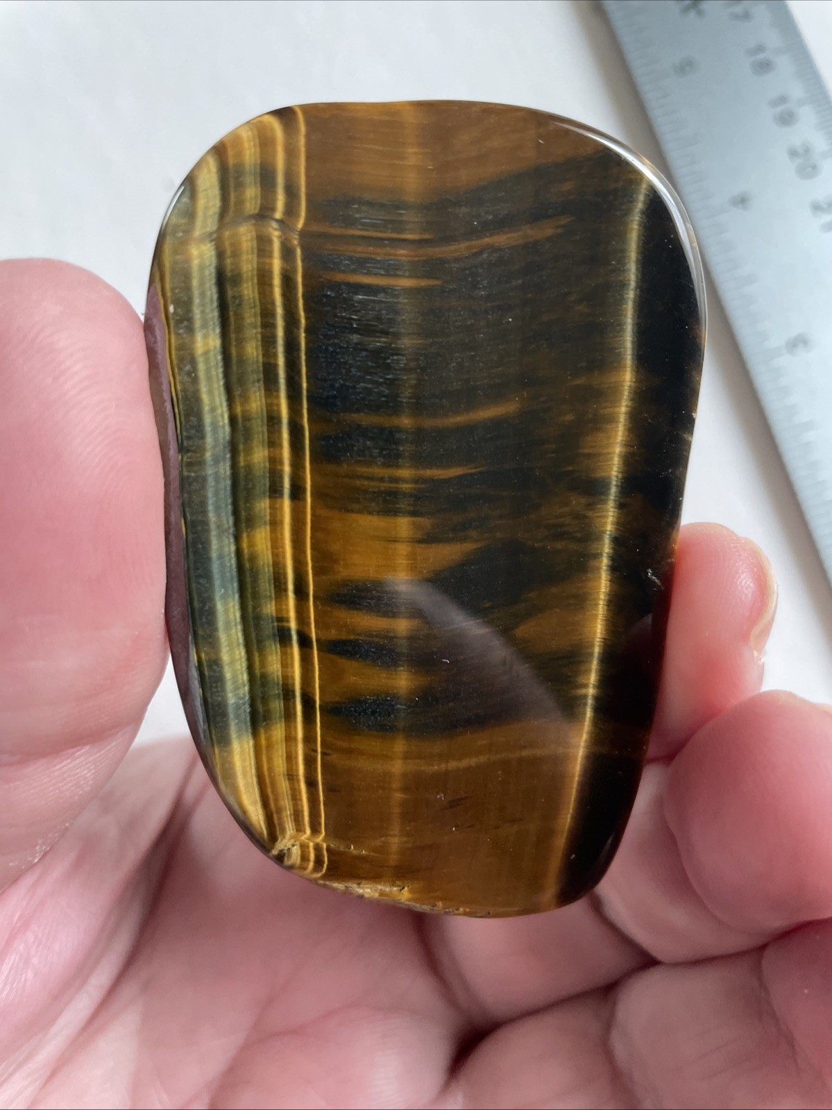 Natural Tiger’s Eye From South Africa Evolution New York City ￼
