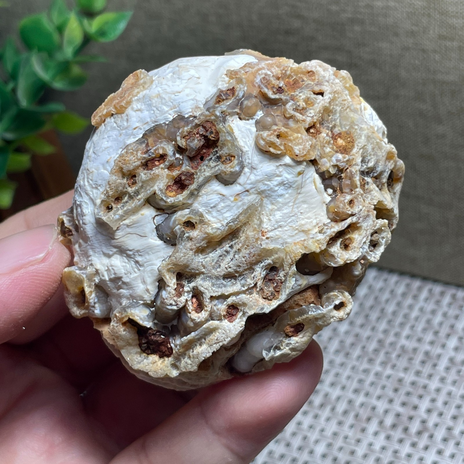 Beautiful ! GoBi agate eyes stone rough Crystal Stone Specimen Viewing 146g C55
