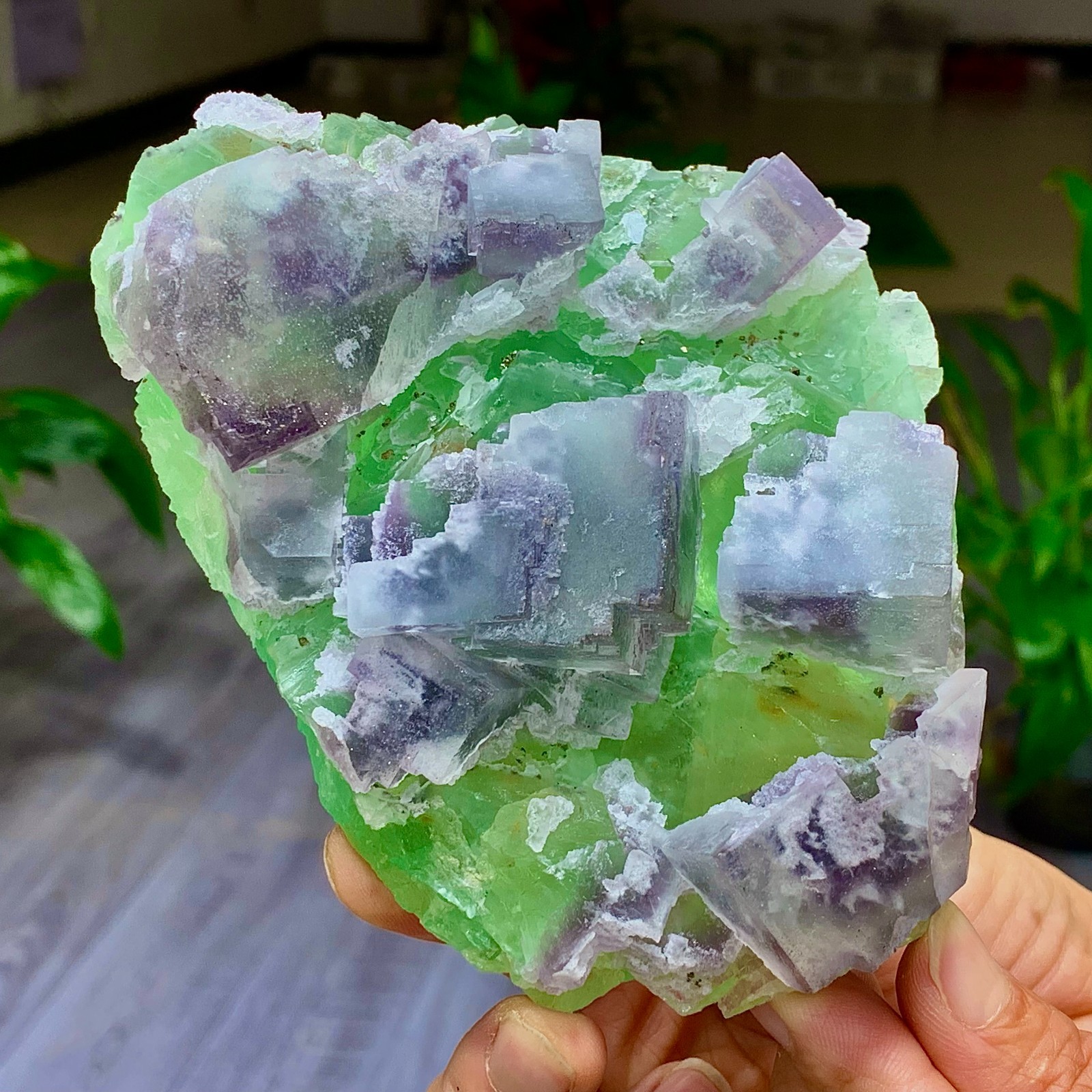 1.7LB Rare transparent green purple cubic Zhejiang fluorite mineral sample