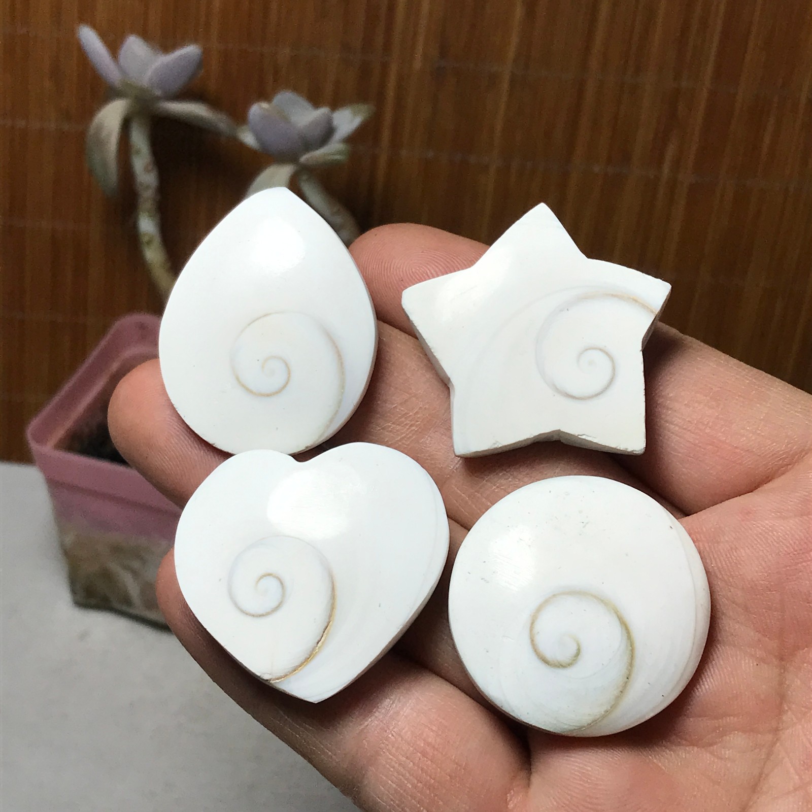 4Pcs Natural sun shell star Heart Reiki Shiva Eye ocean quartz carve A3331
