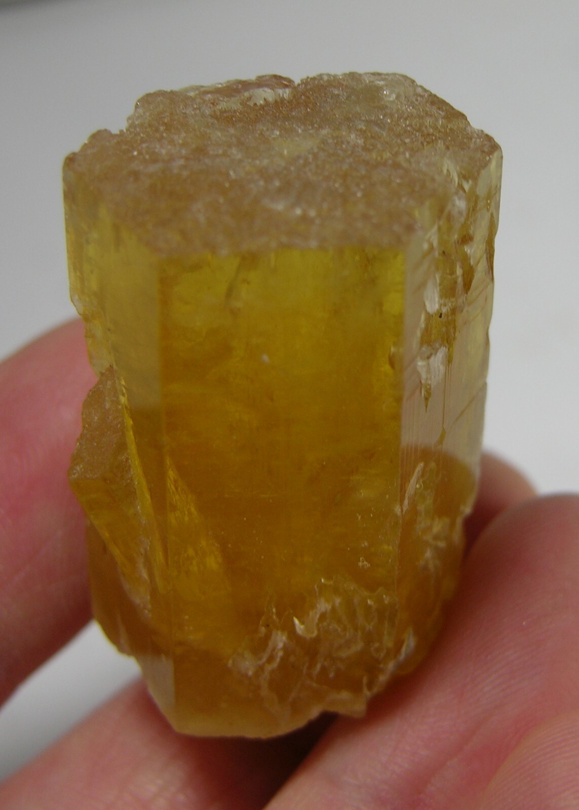 162.25ct Pakistan Terminated Raw Rough Beryl Heliodor Crystal Specimen 32g 36mm