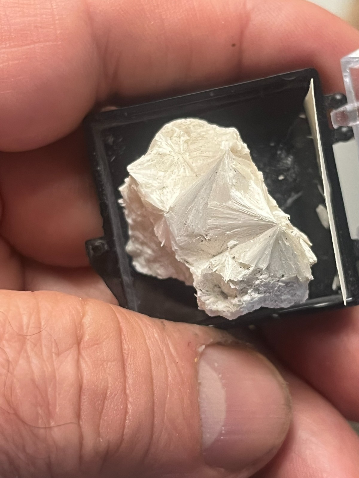 Pectolite, New Street quarry, Paterson, New Jersey