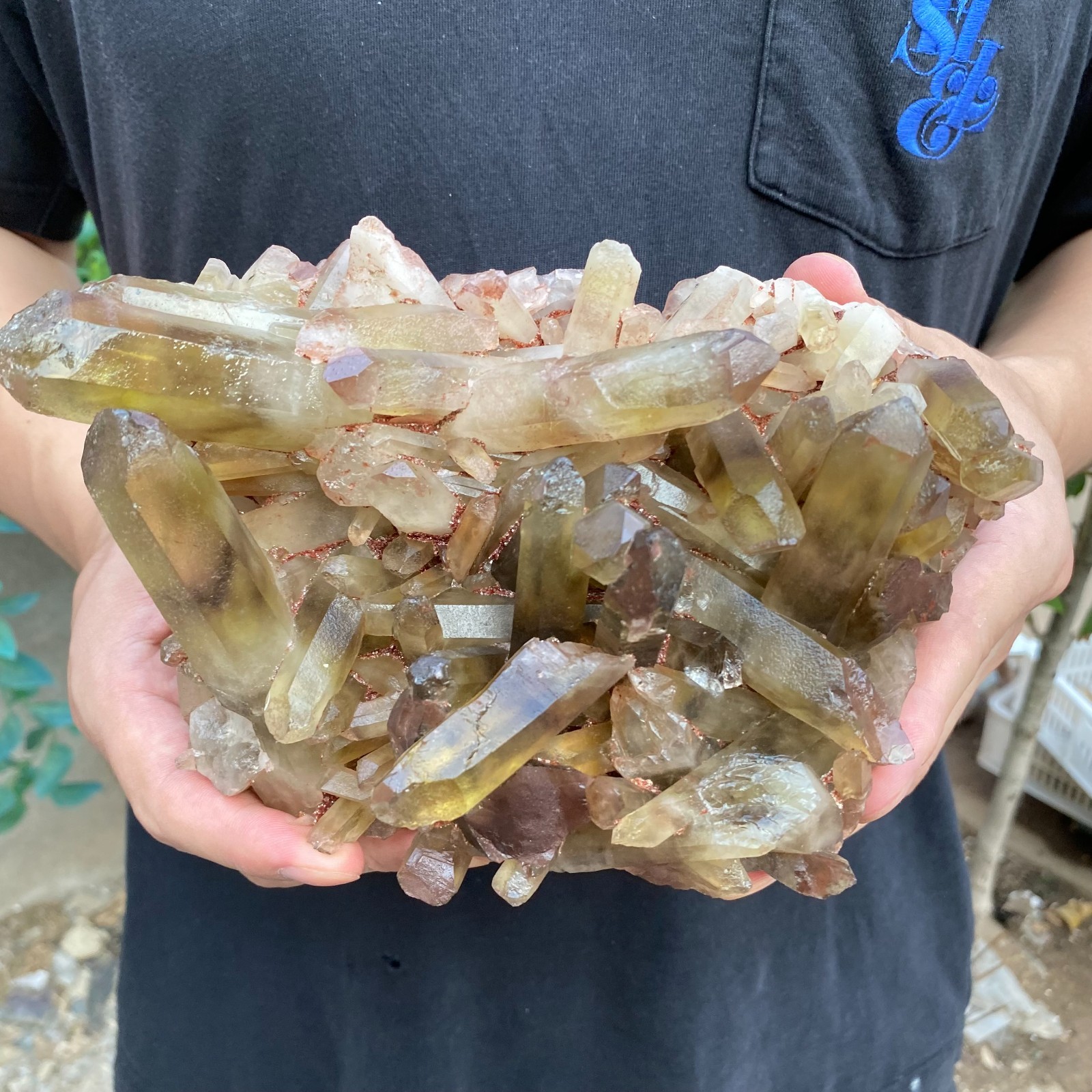 1520G Natural Citrine cluster mineral specimen quartz crystal healing
