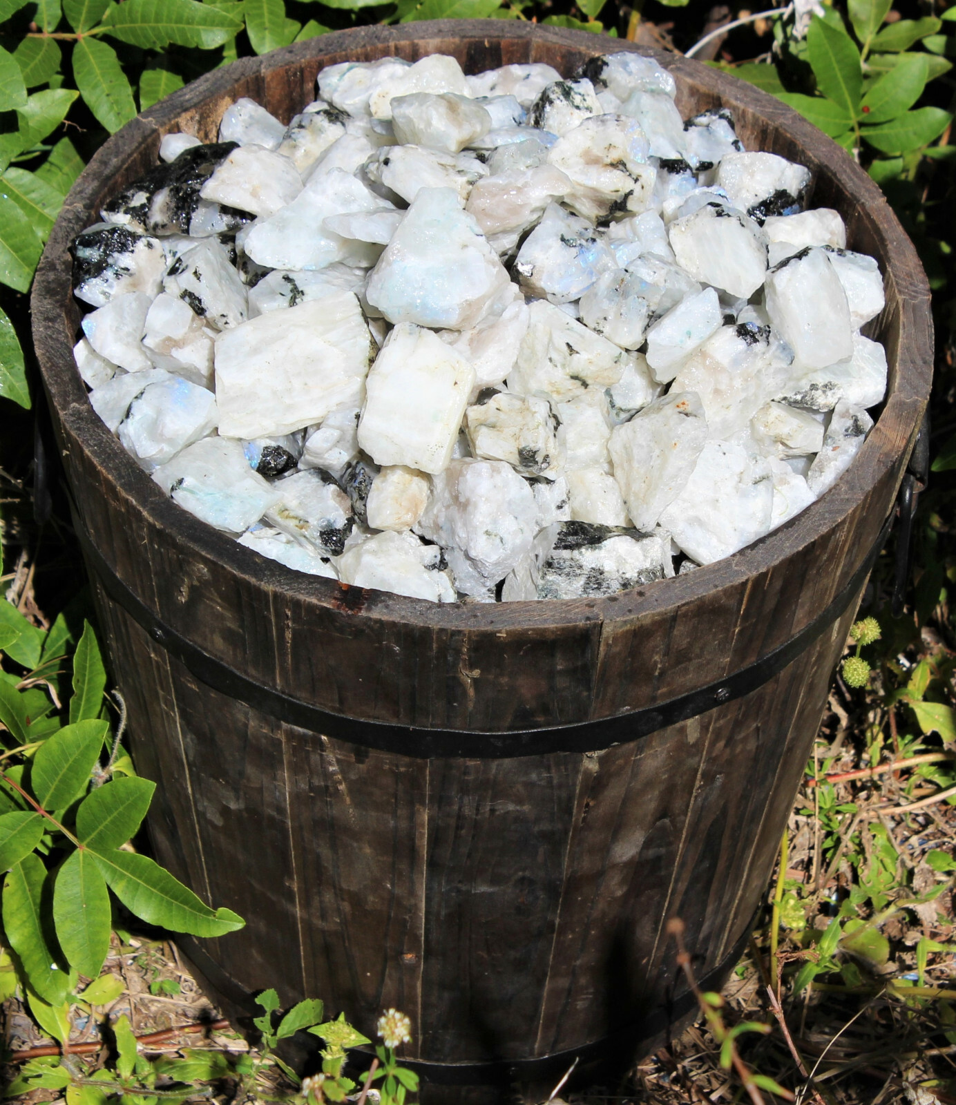 500 Carat Lot Natural Rough Rainbow Moonstone Crystals (Raw Stone, 100 Grams)