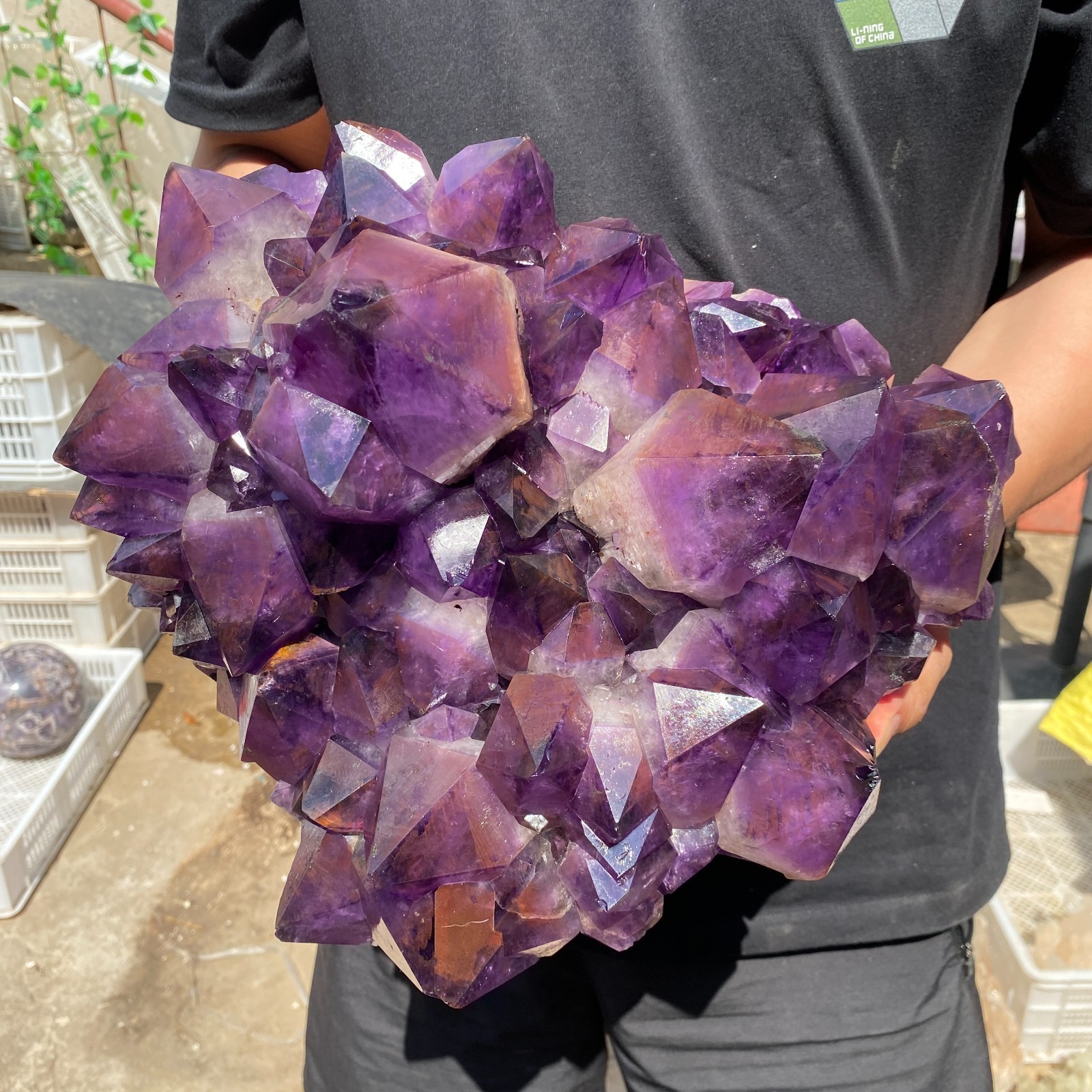 26.2lb Natural Amethyst geode quartz cluster crystal specimen Healing
