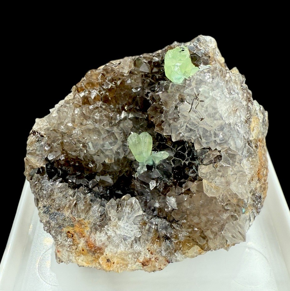 Cuprian Smithsonite On Smoky Quartz : Hilarion Mine . Attica , Greece 🇬🇷