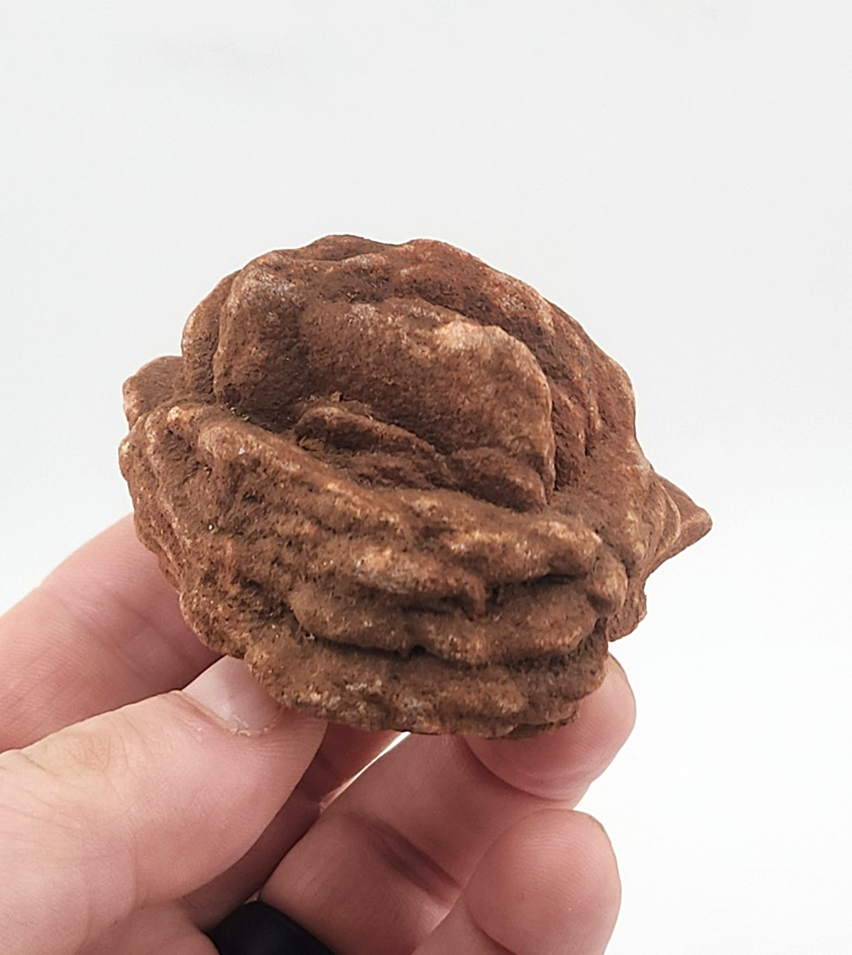 Oklahoma Rose Rock Cluster Barite Old Stock Highly Detailed 190 Grams