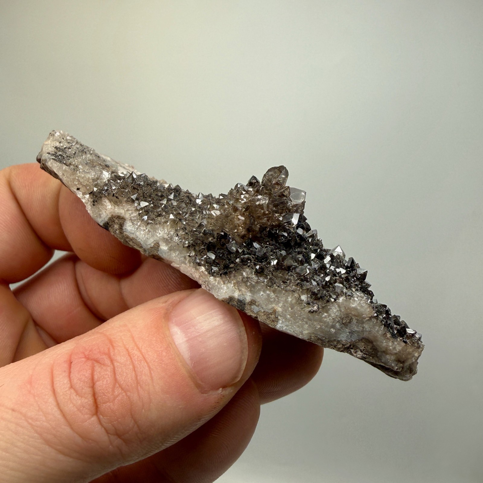 Black Druze with Hydrocarbon Phantom Percher Herkimer Diamonds, Rare Matrix!