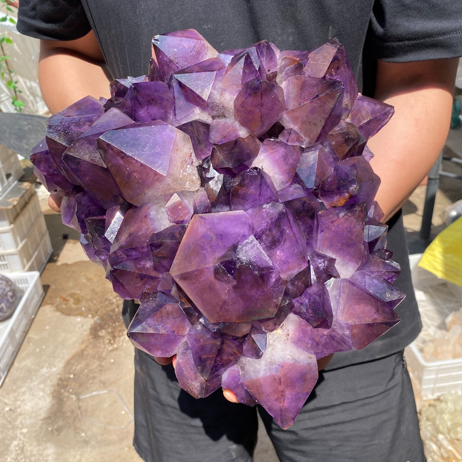26.2lb Natural Amethyst geode quartz cluster crystal specimen Healing