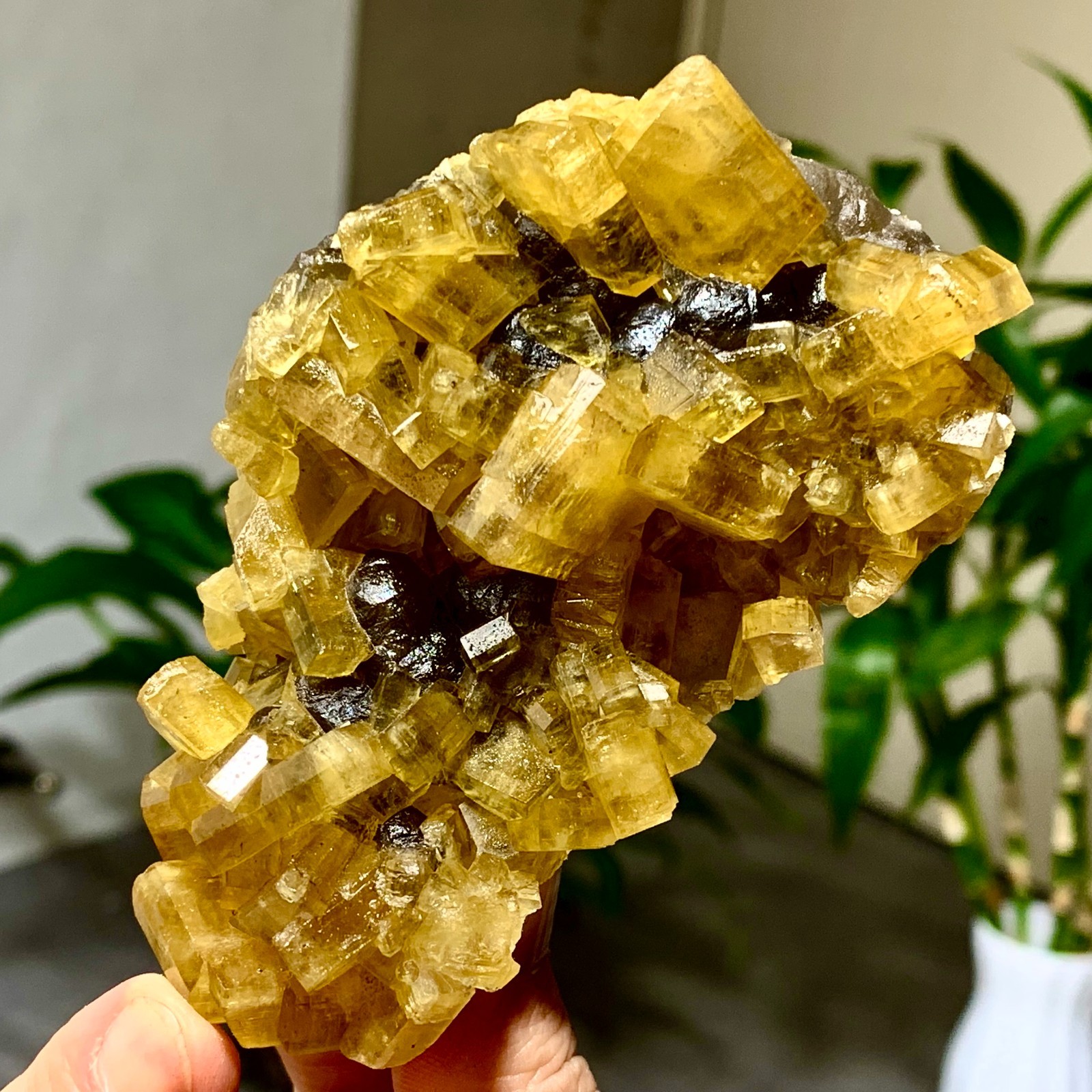 300G Shiny Golden Cuboid Barite Crystal Based on the Purple Spherical Fluorite