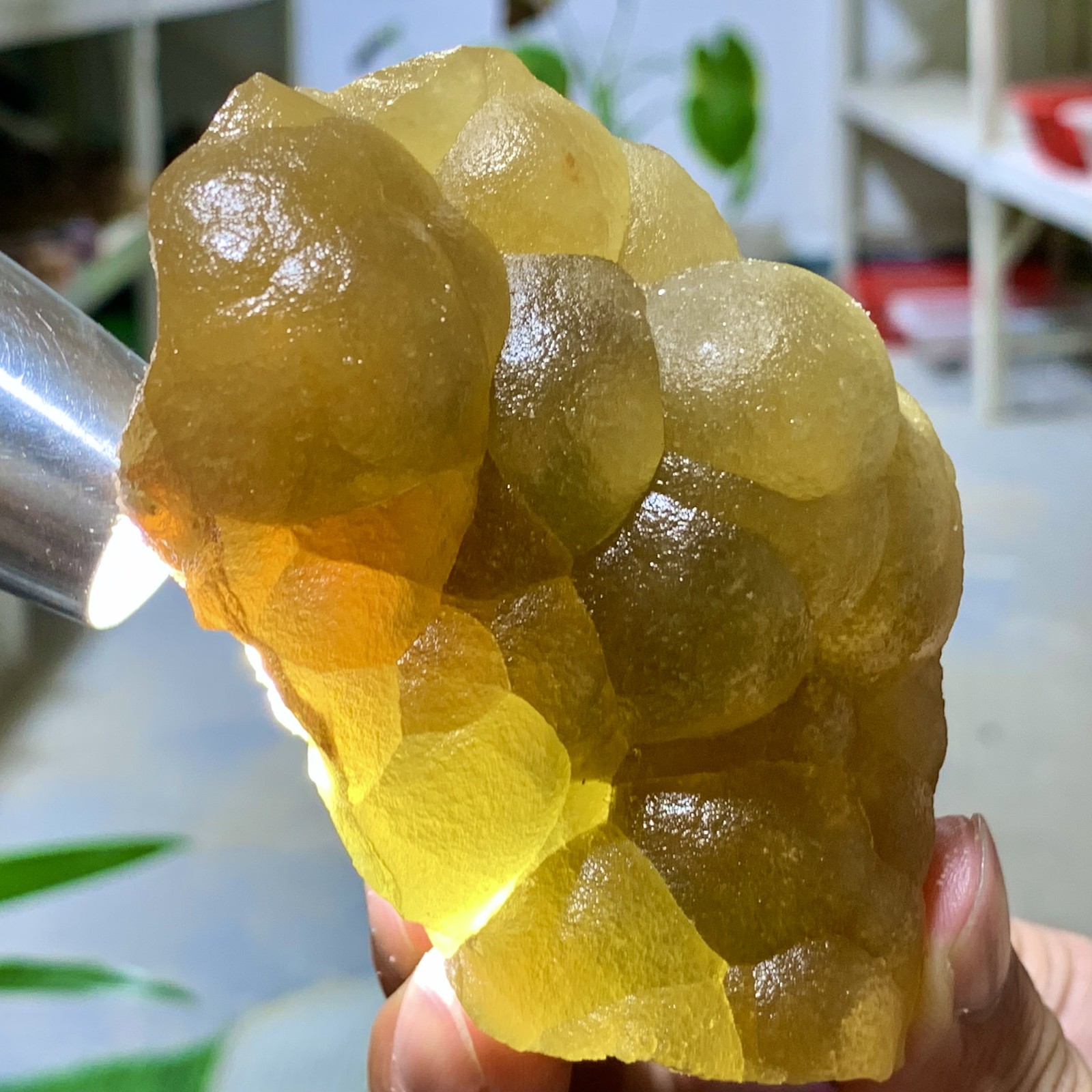 410G Natural transparent bubble shaped yellow fluorite cluster spiritual sample