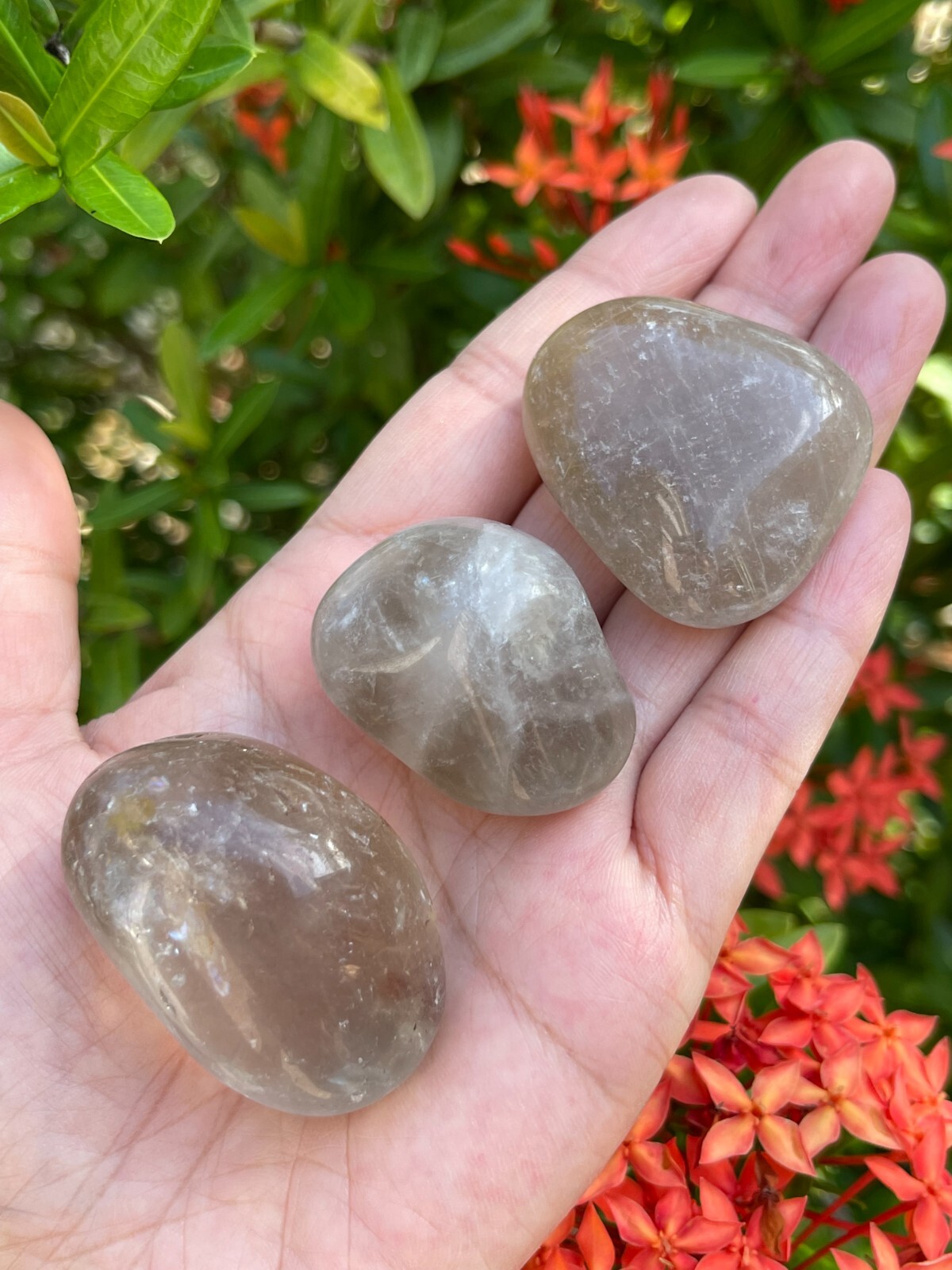 Smoky Quartz Pebble, 1-2 Inches Large Tumbled Smoky Quartz, Wholesale Bulk Lot