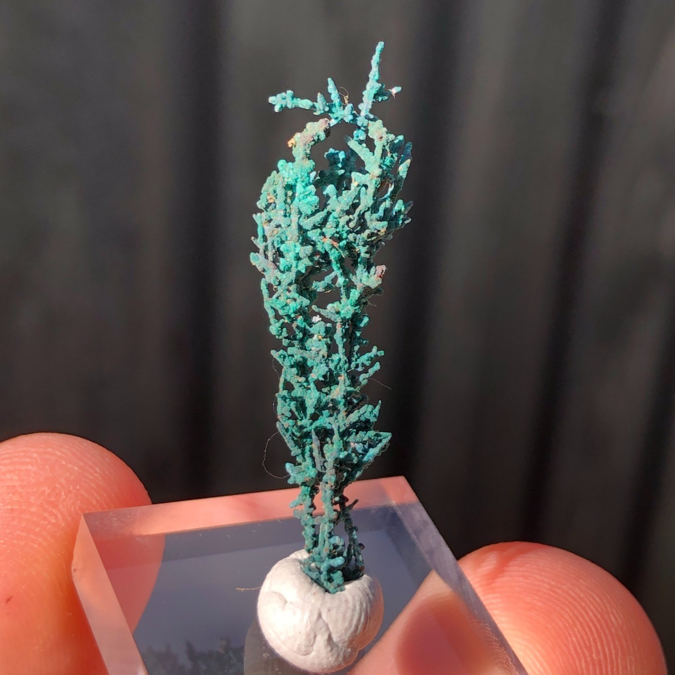 3.4cm Copper Wire Crystals with Malachite Patina from Mount Isa, QLD, Australia