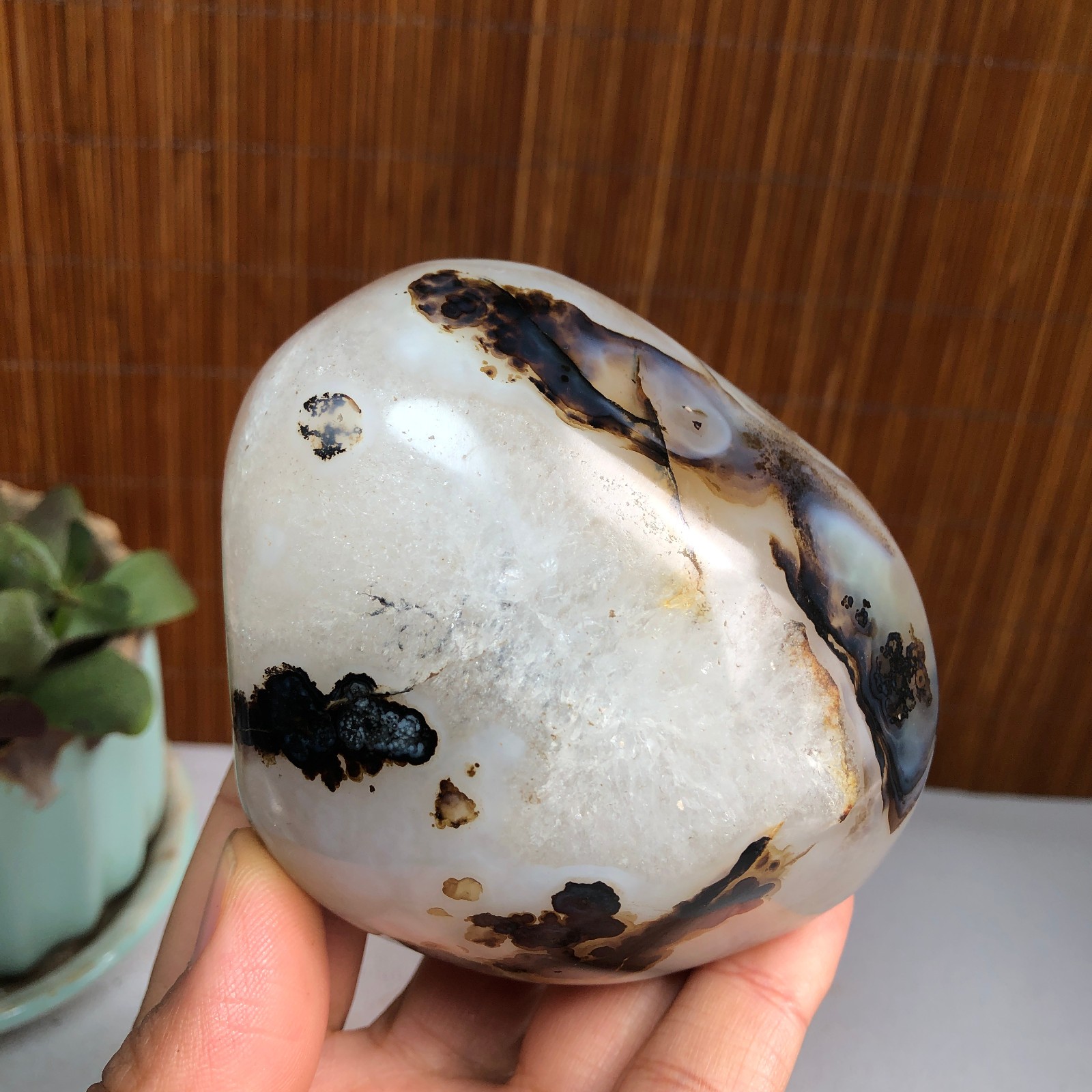 83mm Natural aquatic plants agate pretty Crystal specimens 427g A1482